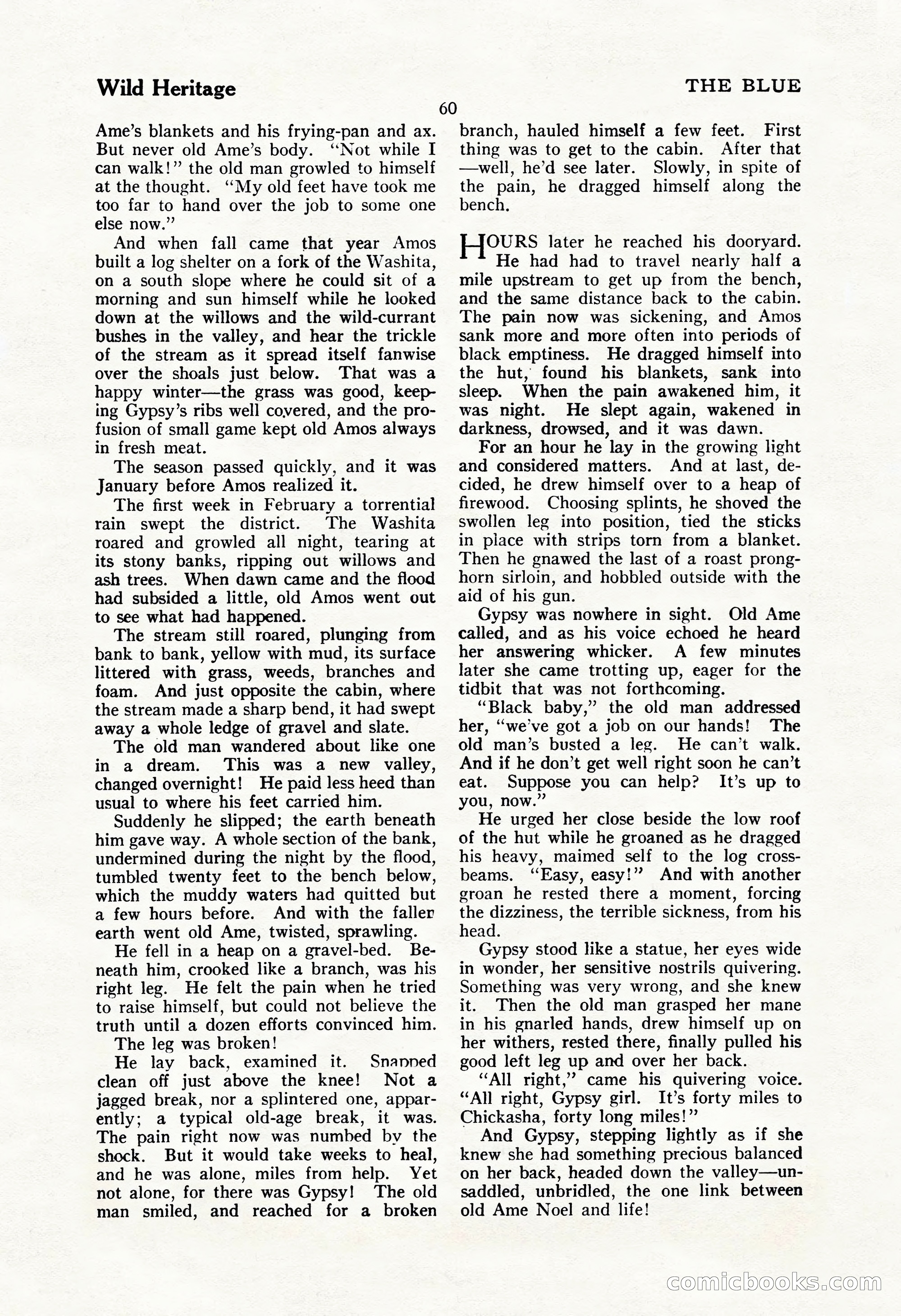 The Illustrated Blue Book Magazine, September 1928 — page 62 of 204
