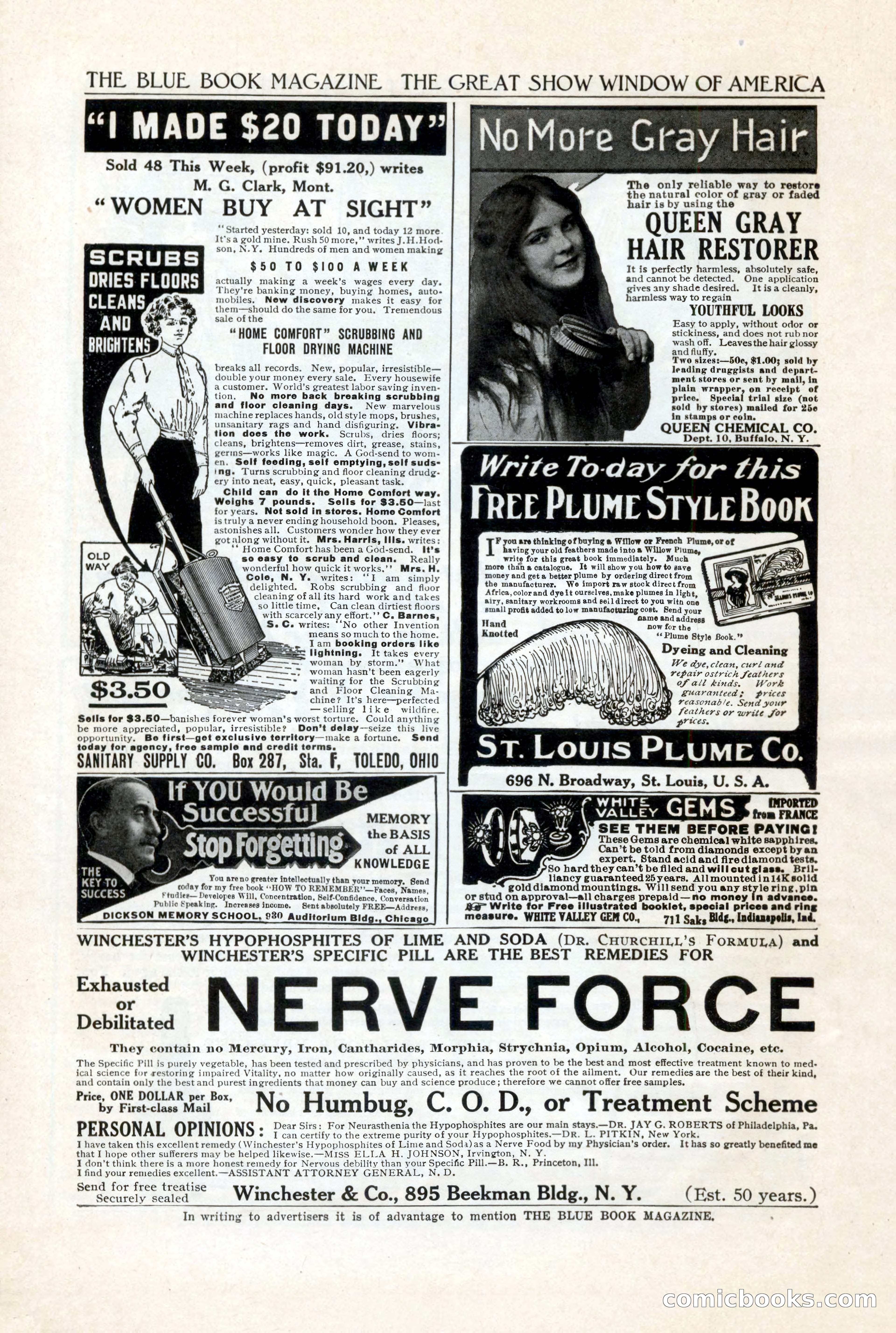The Blue Book Magazine, June 1911 — page 234 of 246