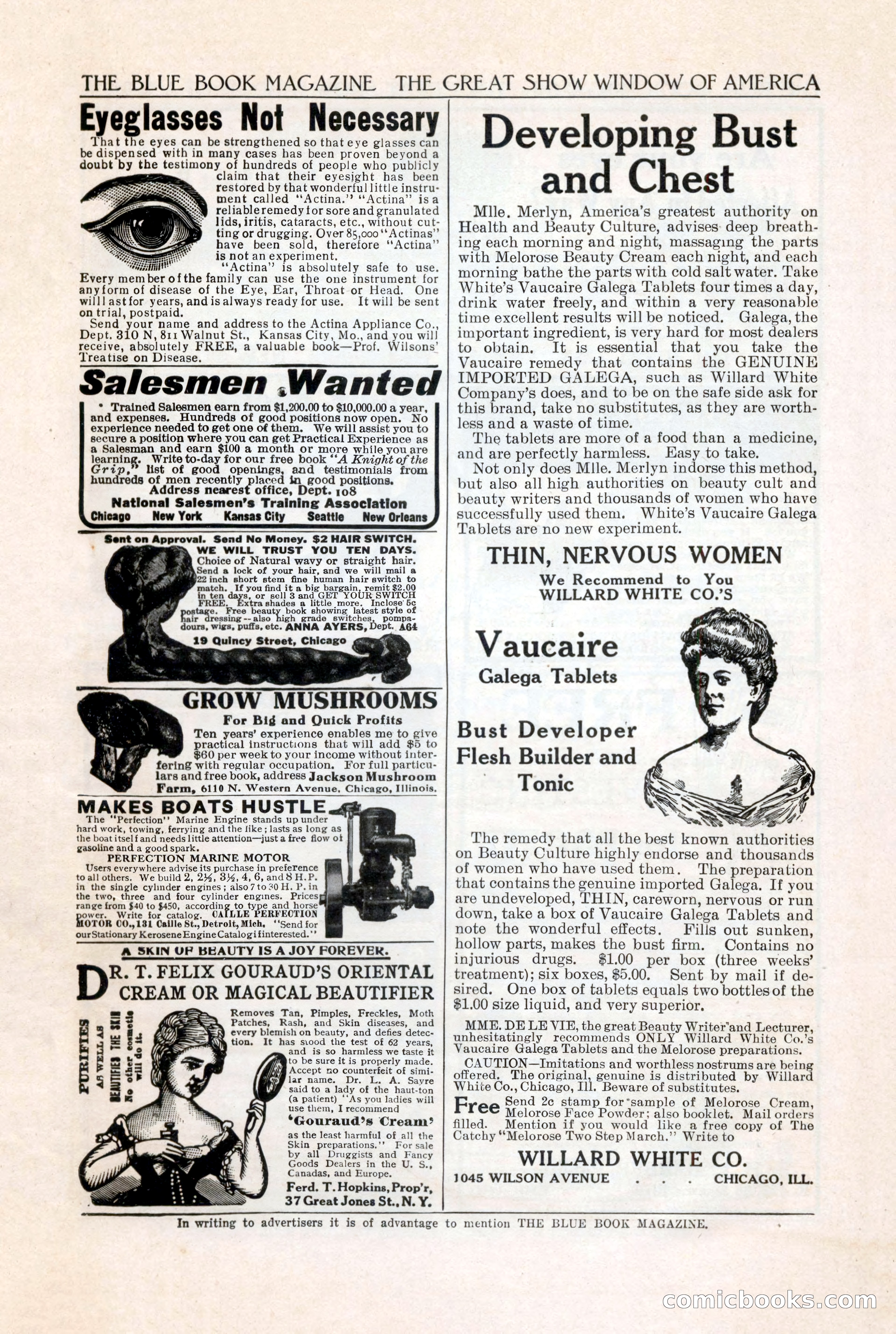 The Blue Book Magazine, June 1911 — page 239 of 246