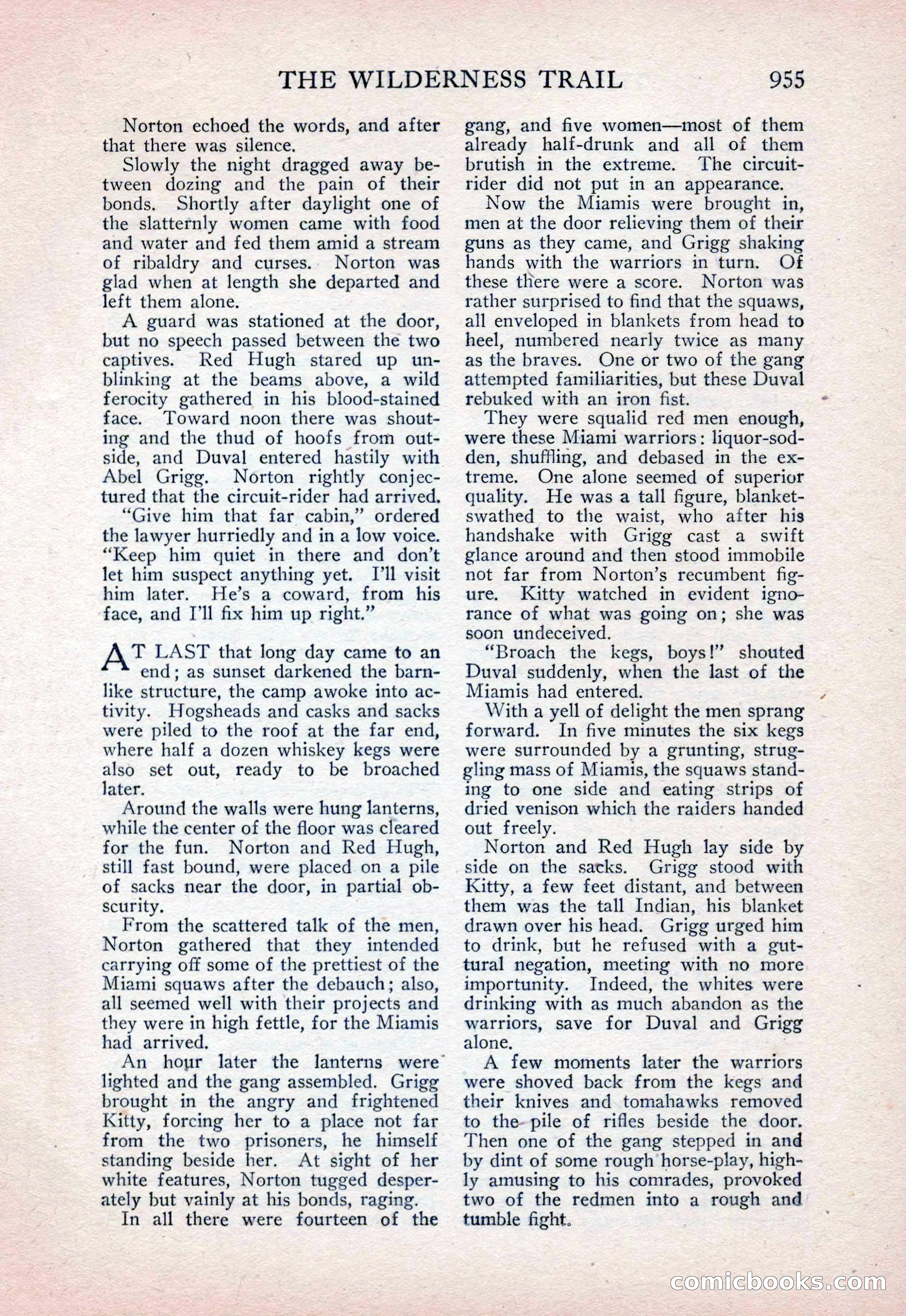 The Blue Book Magazine, February 1915 — page 229 of 246