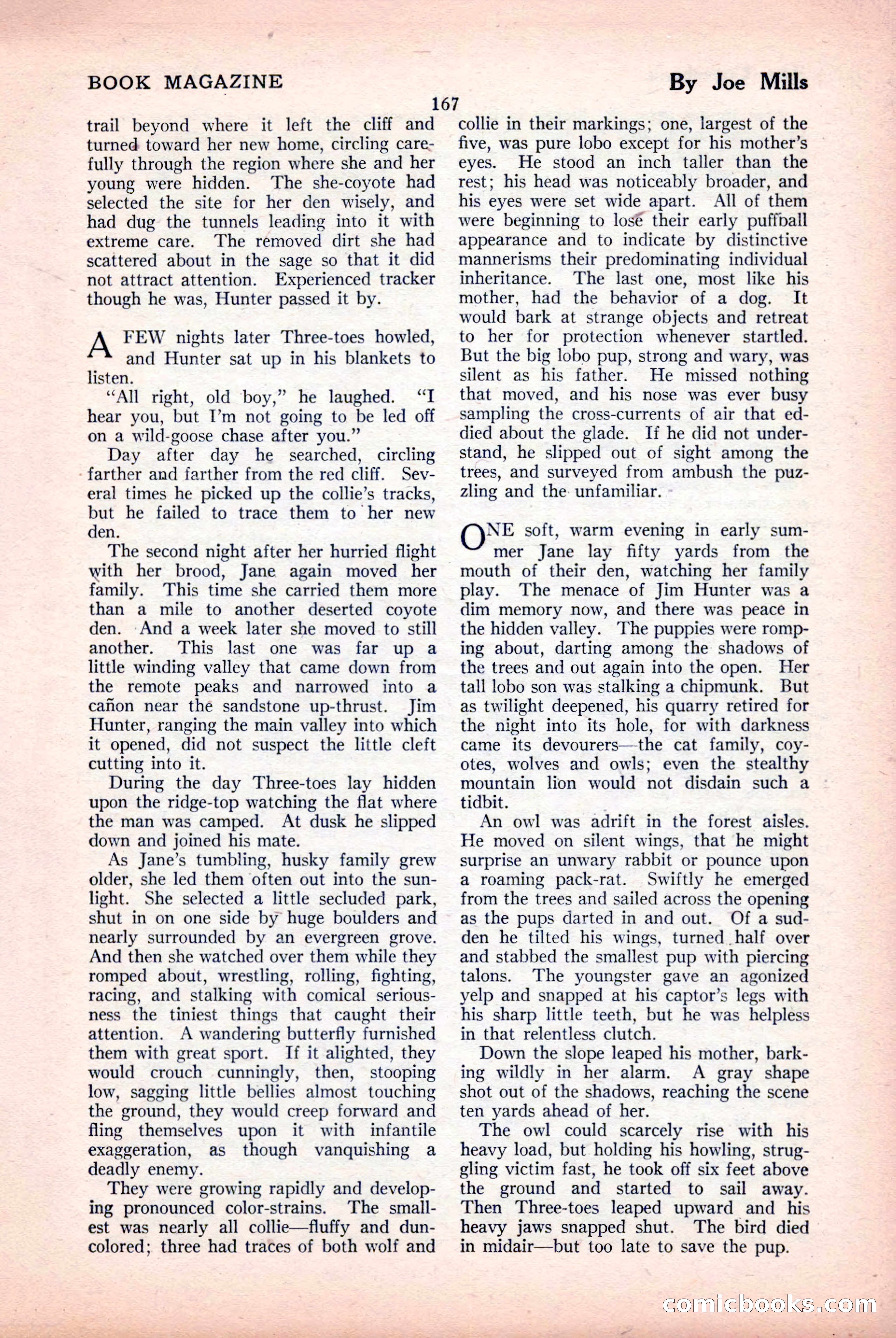 The Blue Book Magazine, April 1926 — page 169 of 208