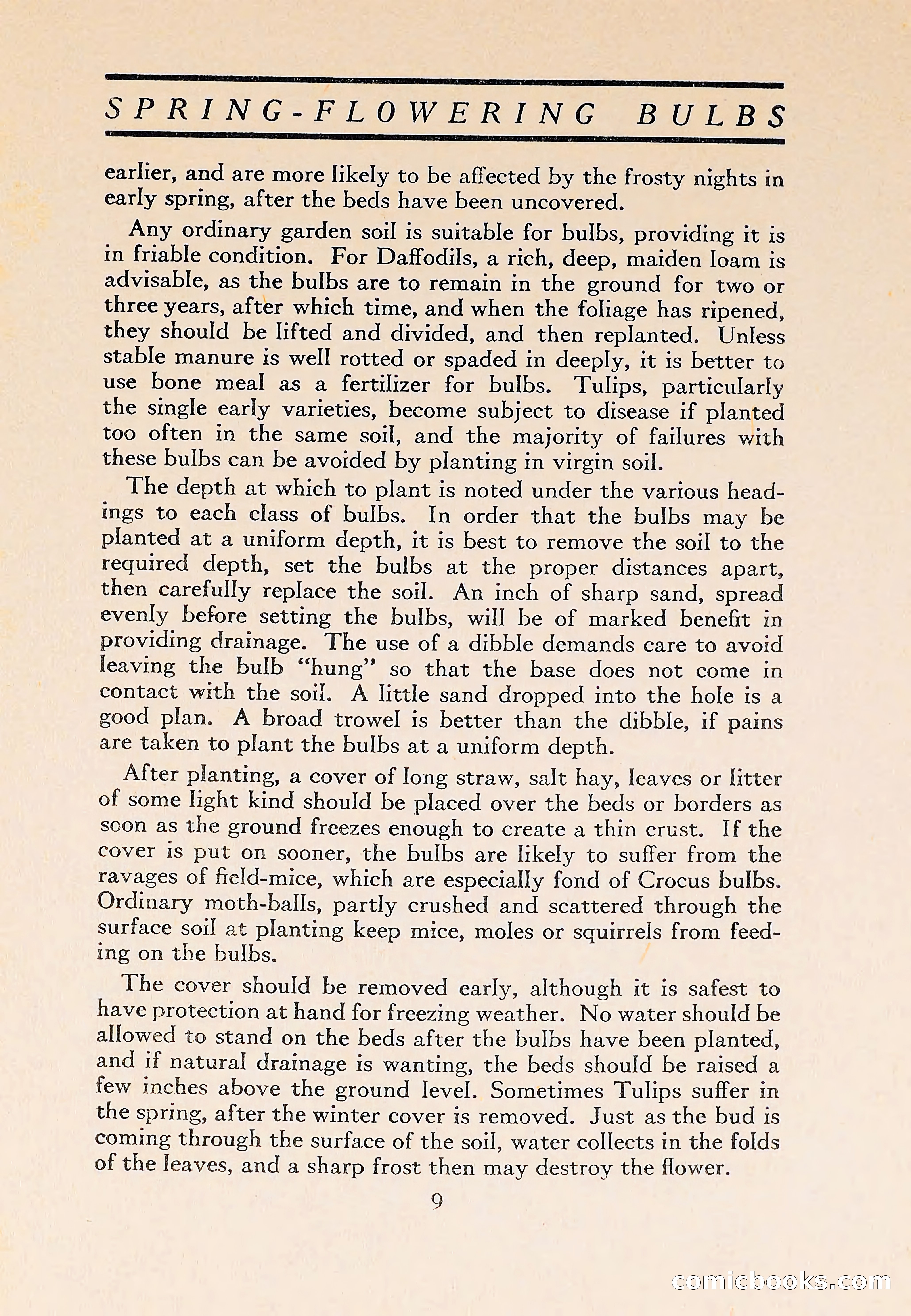 The Blue Book of Bulbs — page 13 of 110