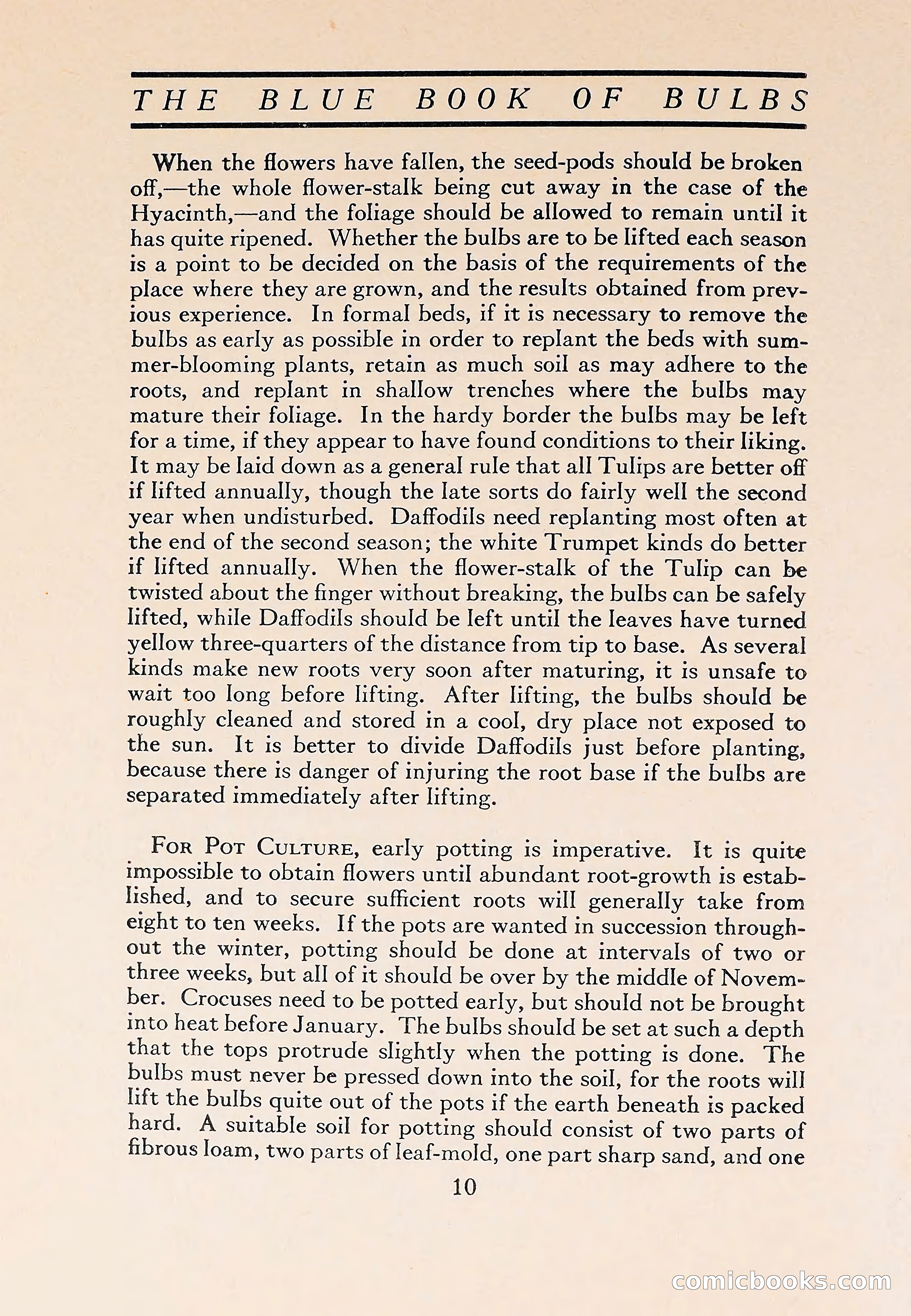 The Blue Book of Bulbs — page 14 of 110