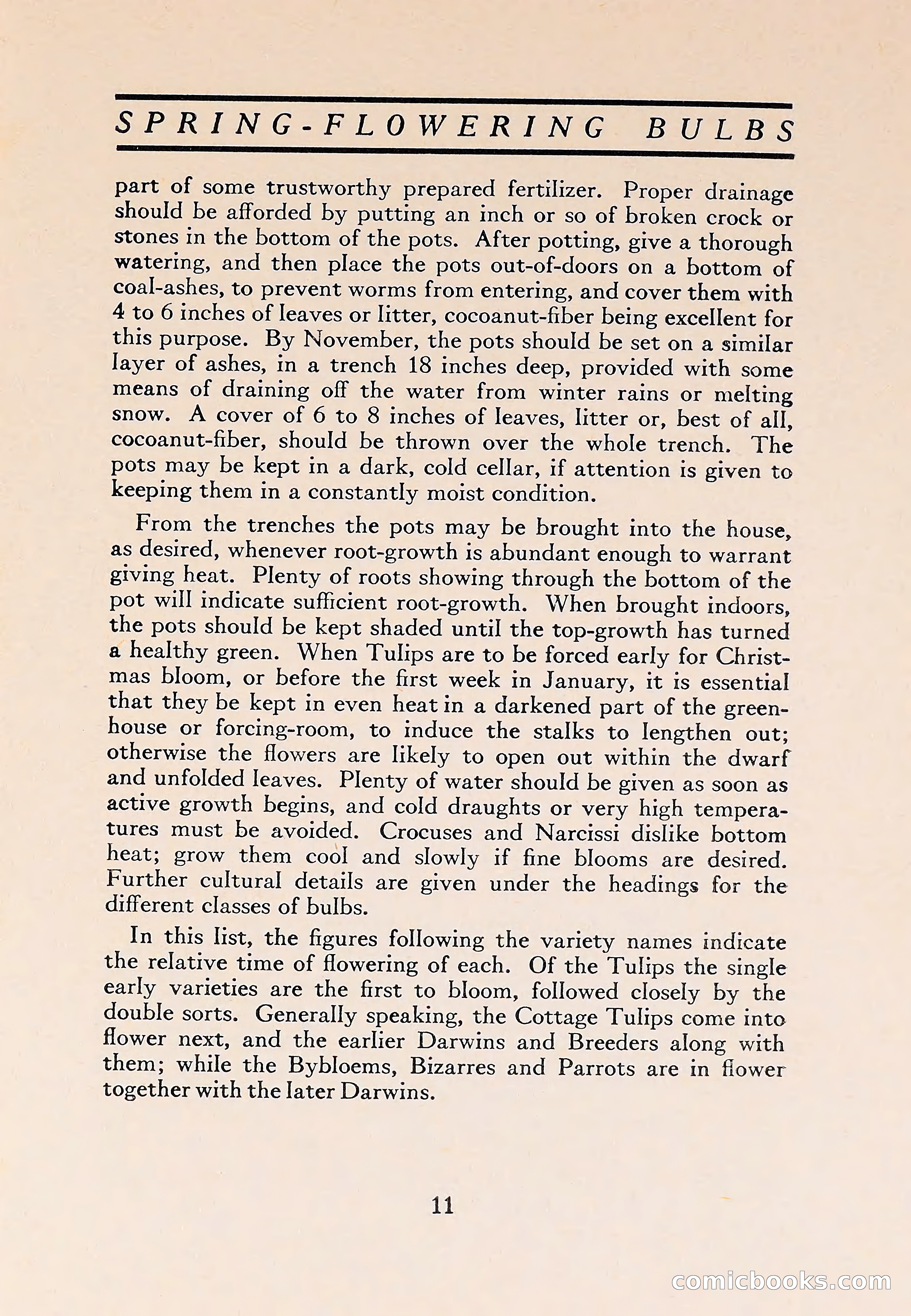 The Blue Book of Bulbs — page 15 of 110