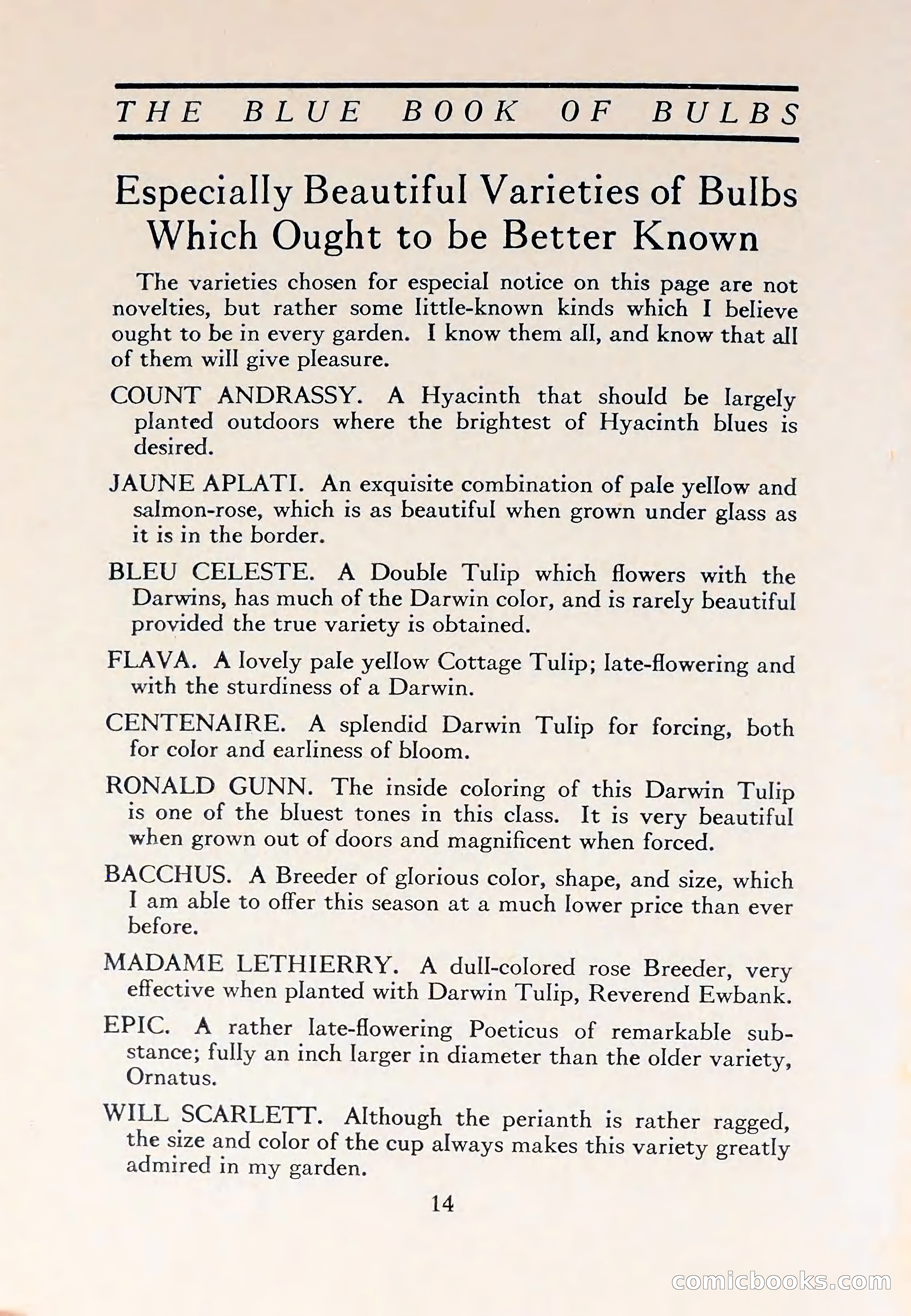 The Blue Book of Bulbs — page 18 of 110