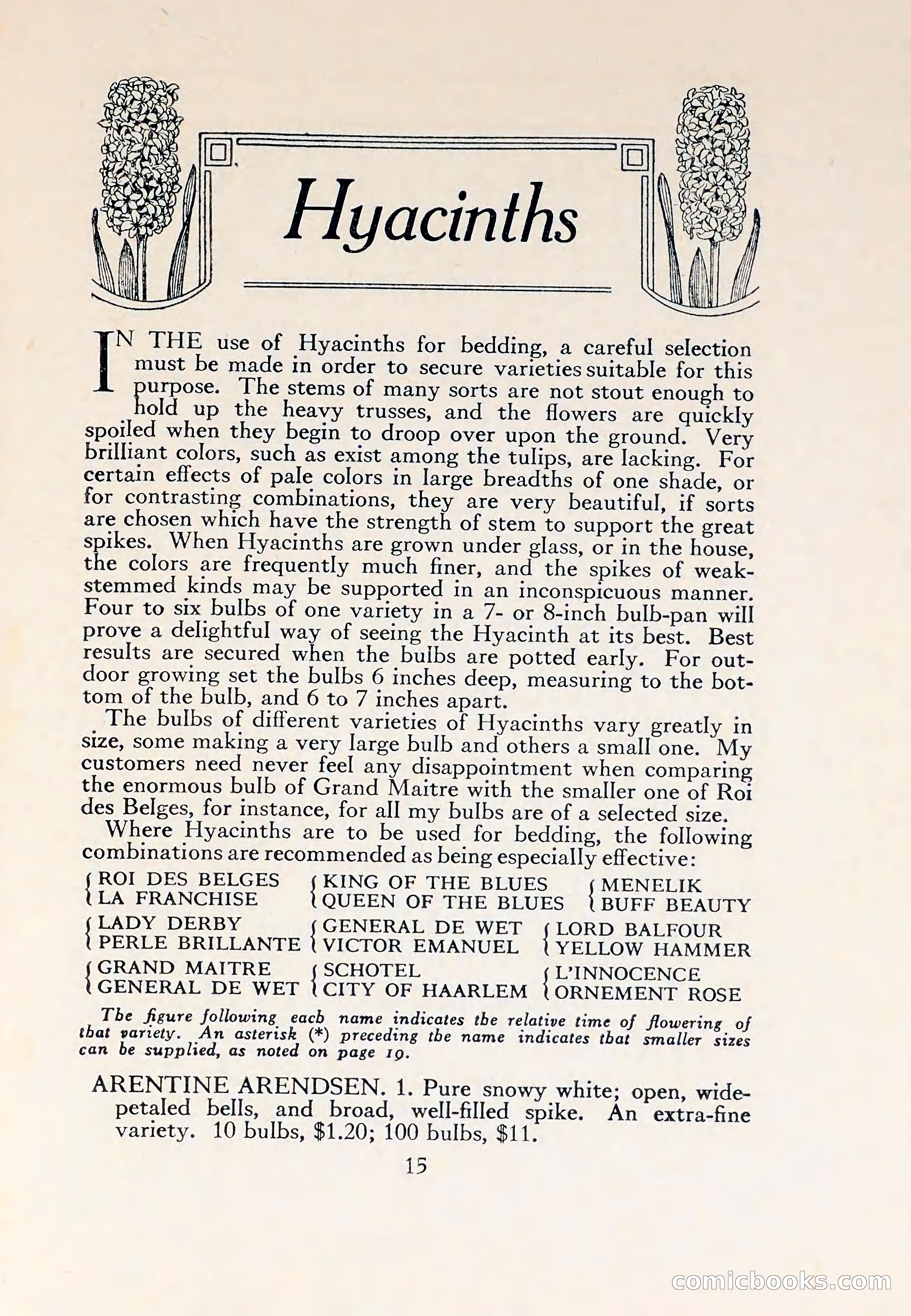 The Blue Book of Bulbs — page 19 of 110