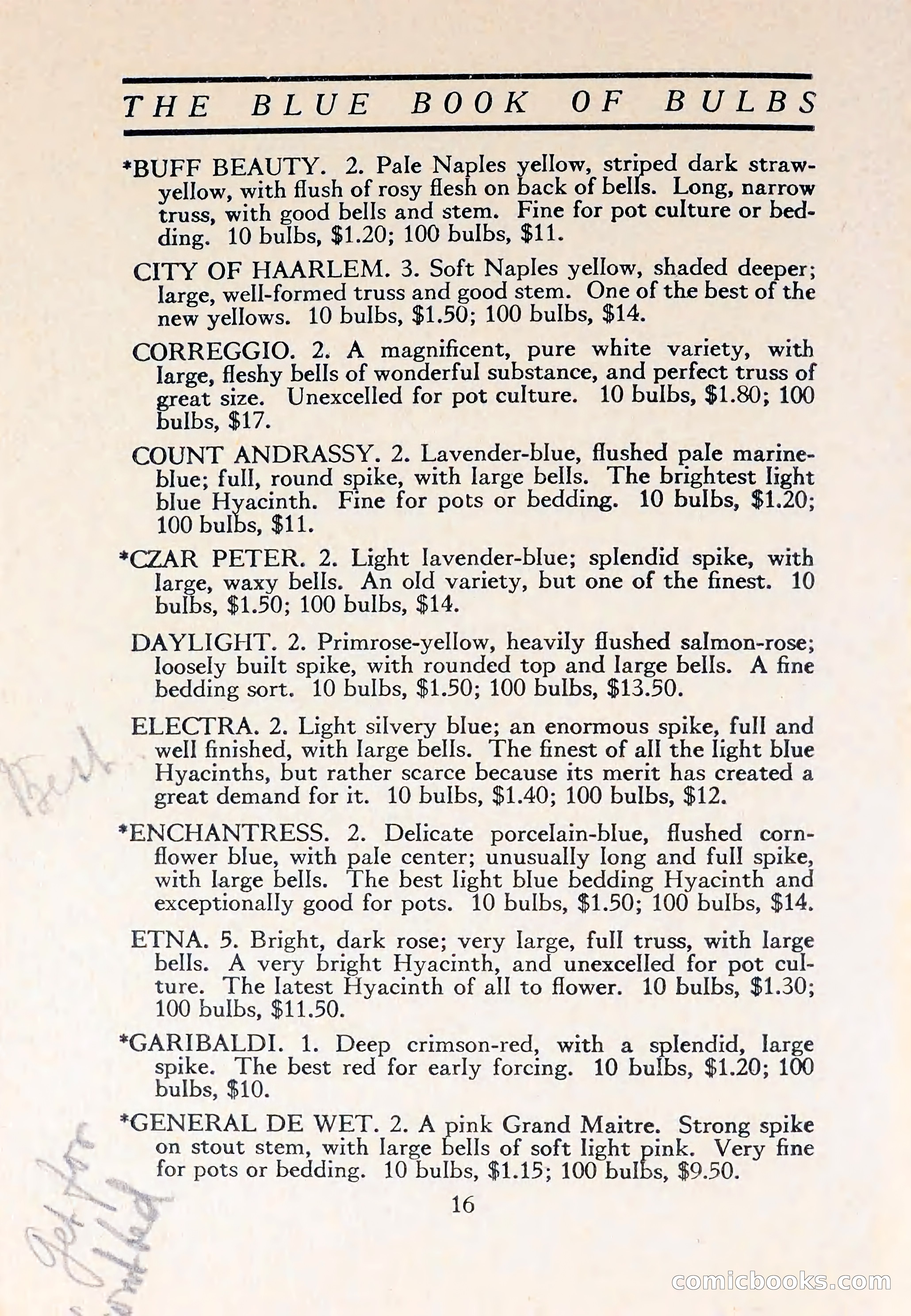 The Blue Book of Bulbs — page 20 of 110