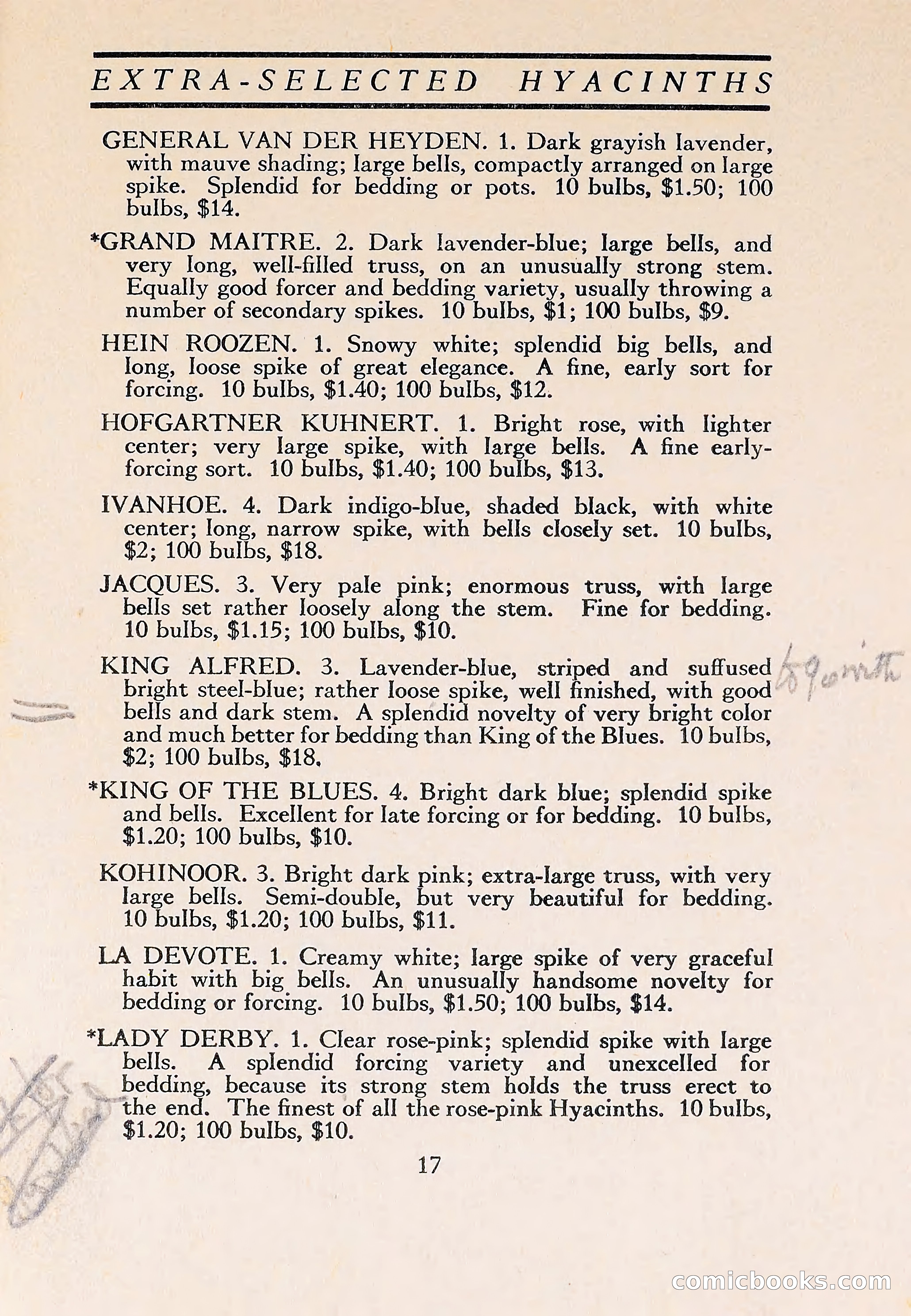 The Blue Book of Bulbs — page 21 of 110