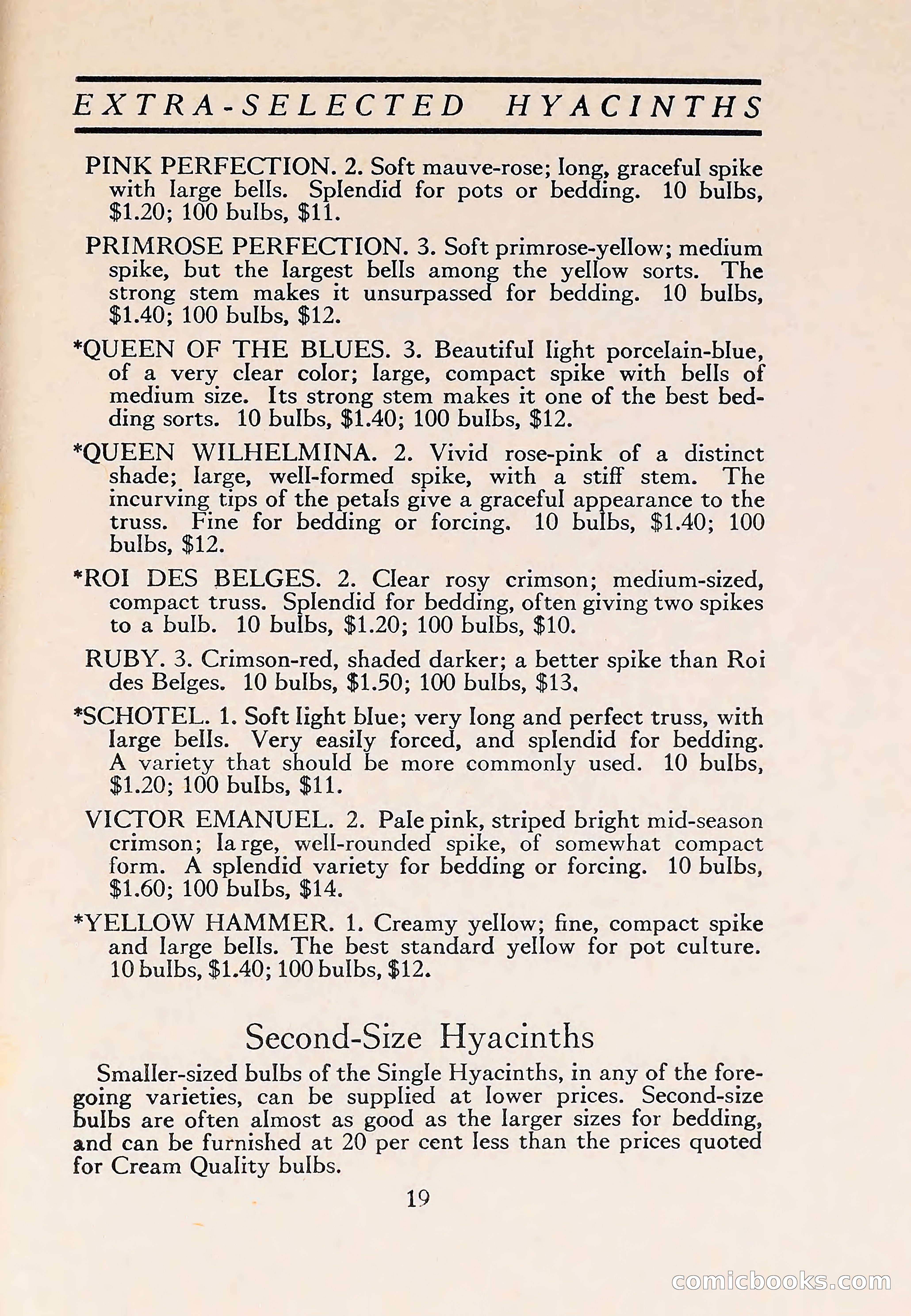The Blue Book of Bulbs — page 23 of 110