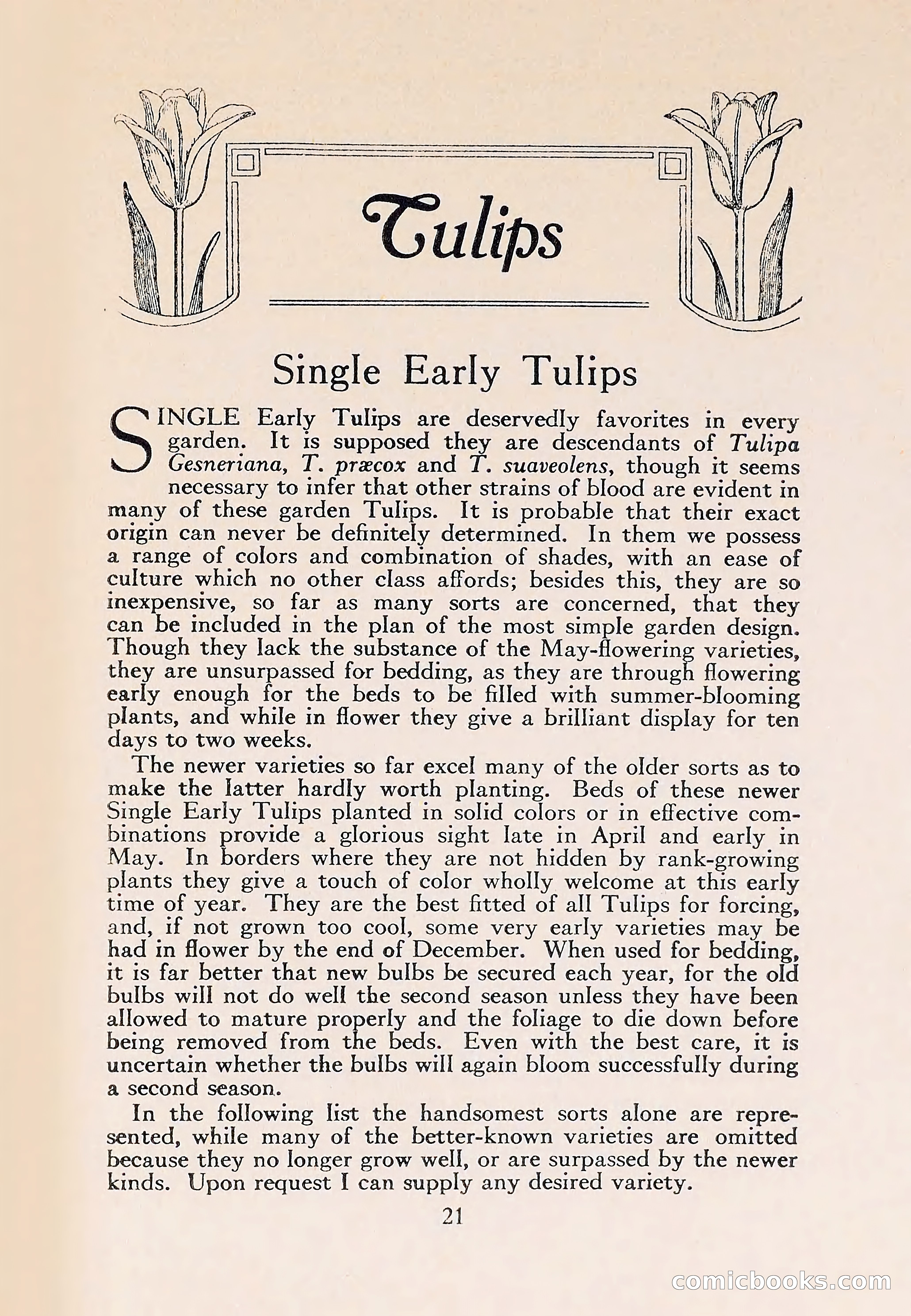 The Blue Book of Bulbs — page 25 of 110