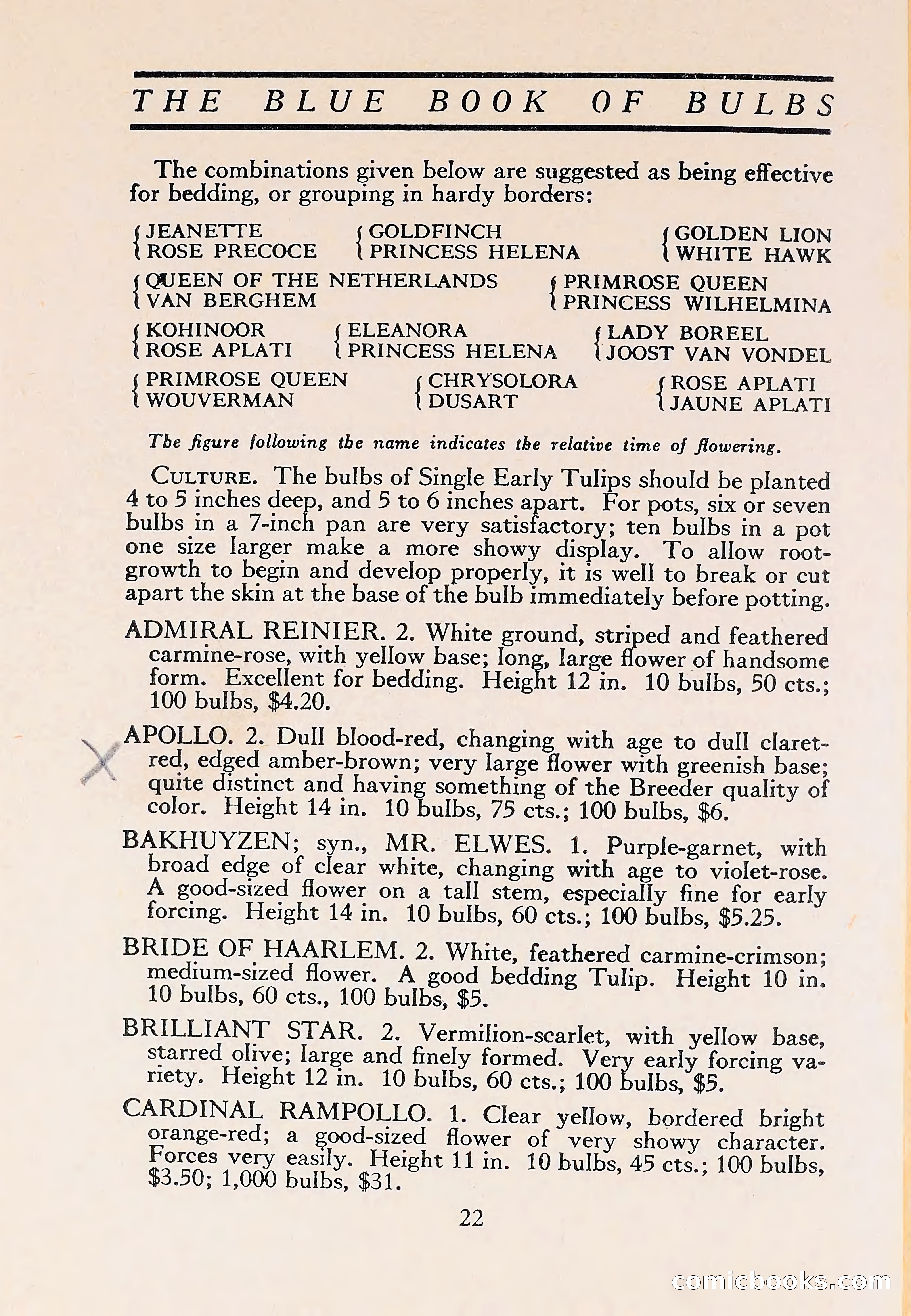 The Blue Book of Bulbs — page 26 of 110