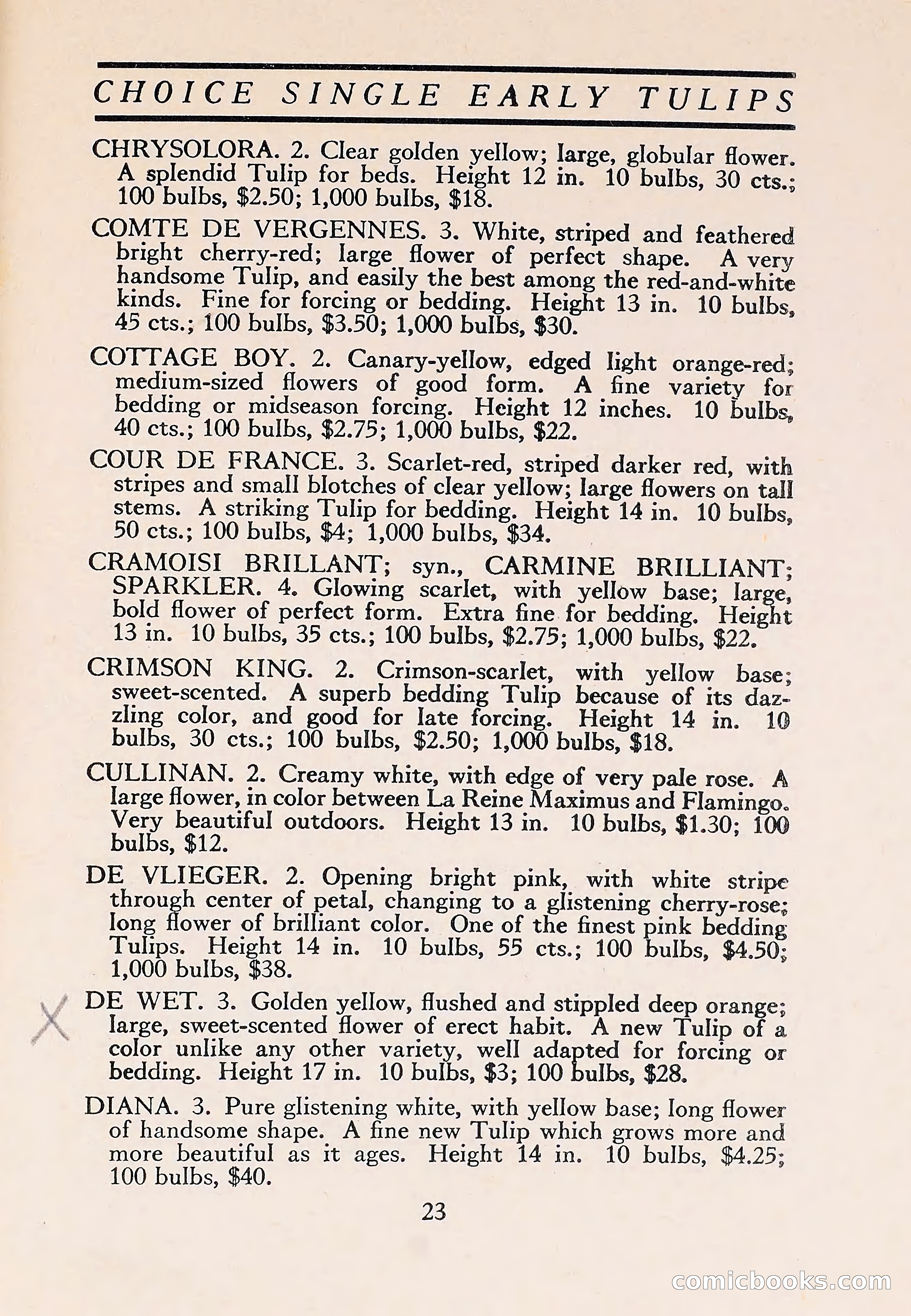The Blue Book of Bulbs — page 27 of 110