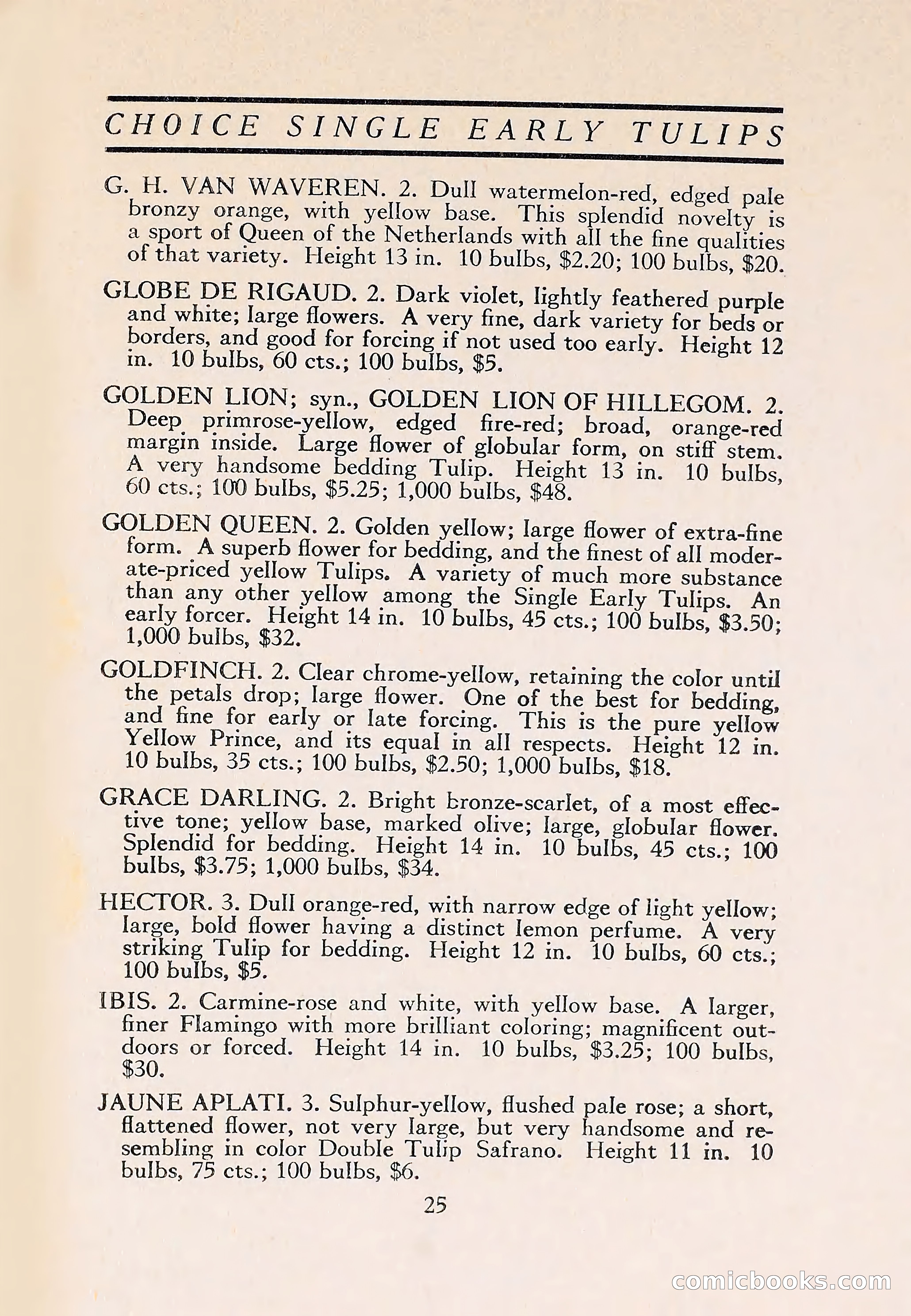 The Blue Book of Bulbs — page 29 of 110