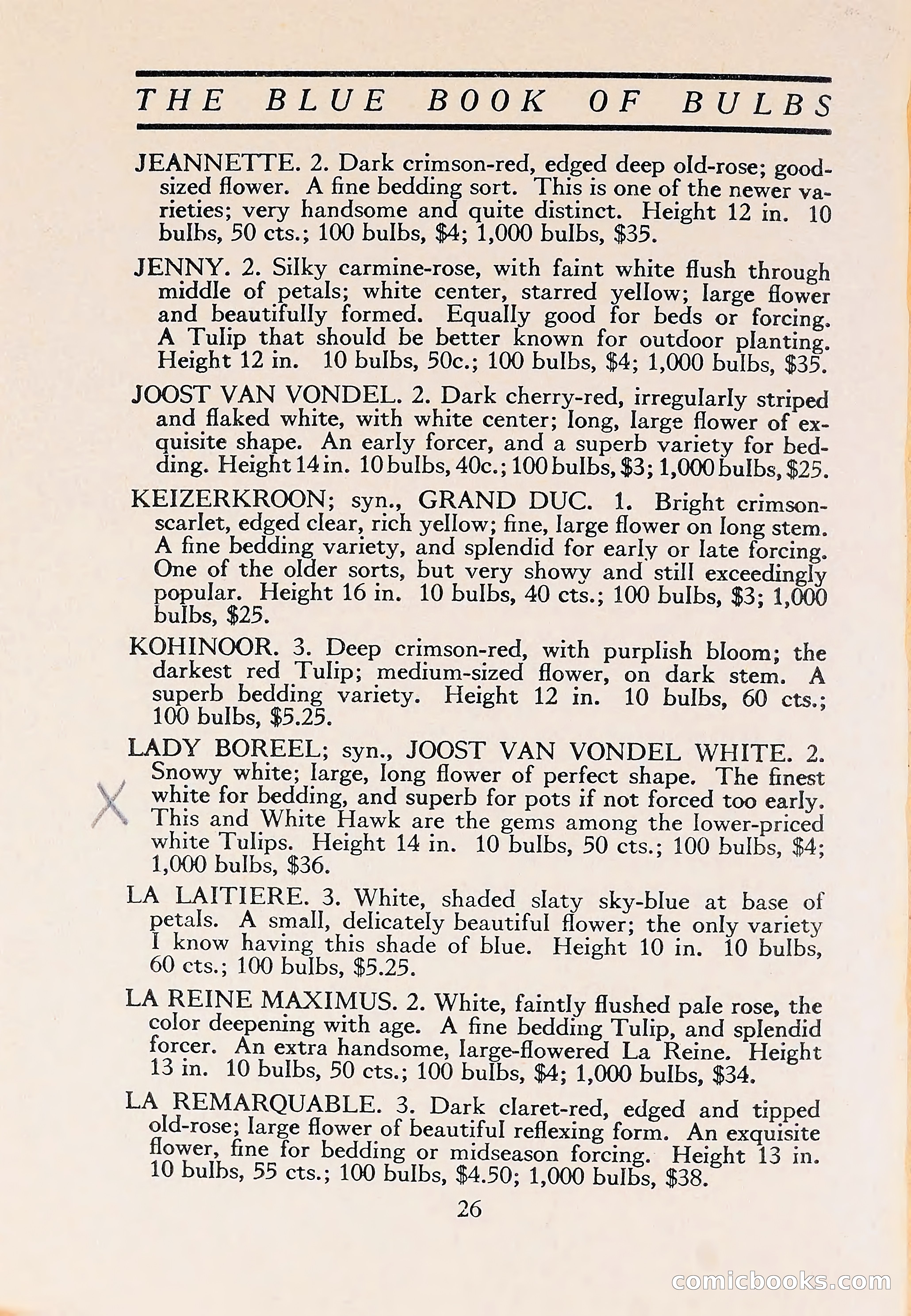 The Blue Book of Bulbs — page 30 of 110