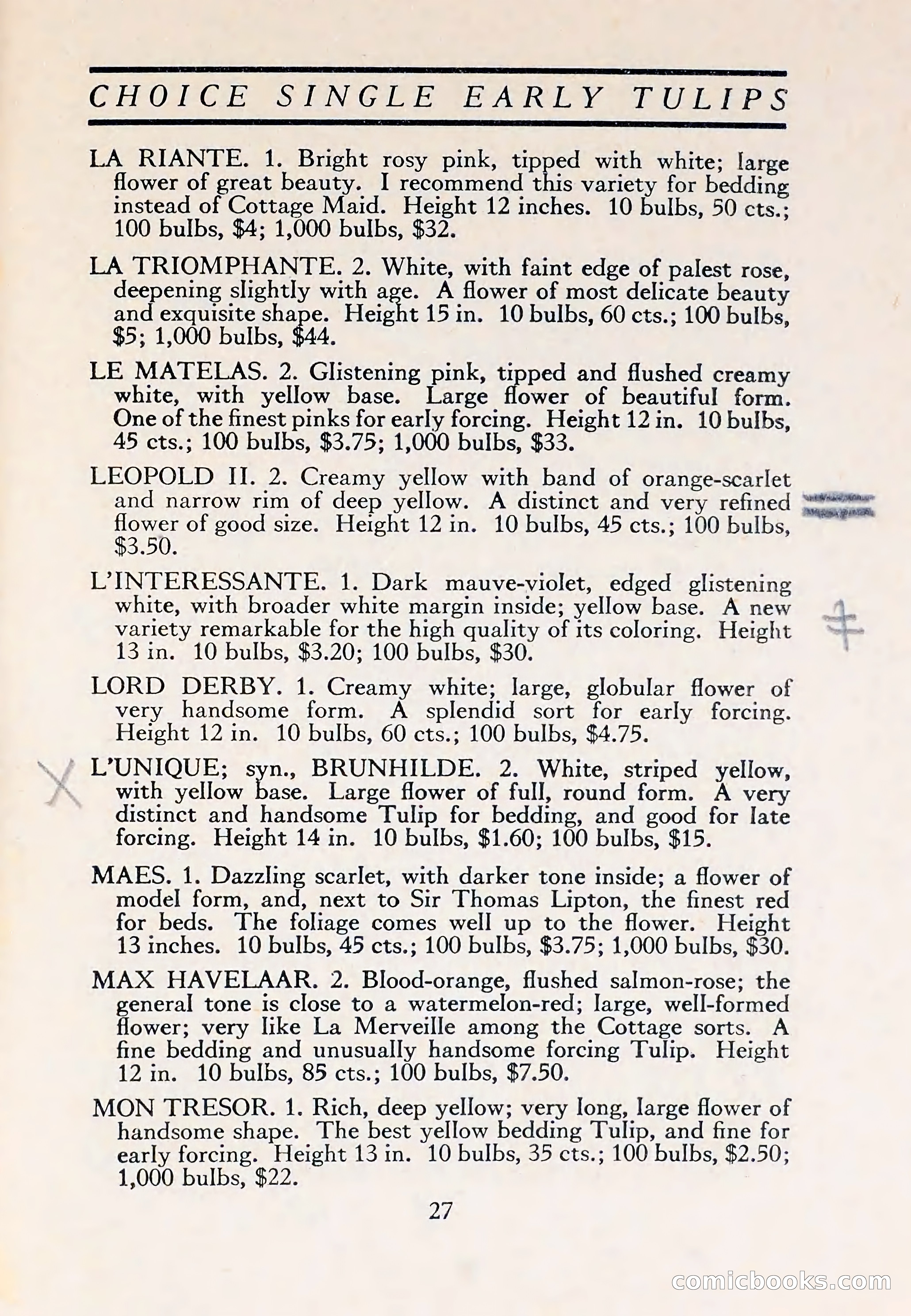 The Blue Book of Bulbs — page 31 of 110