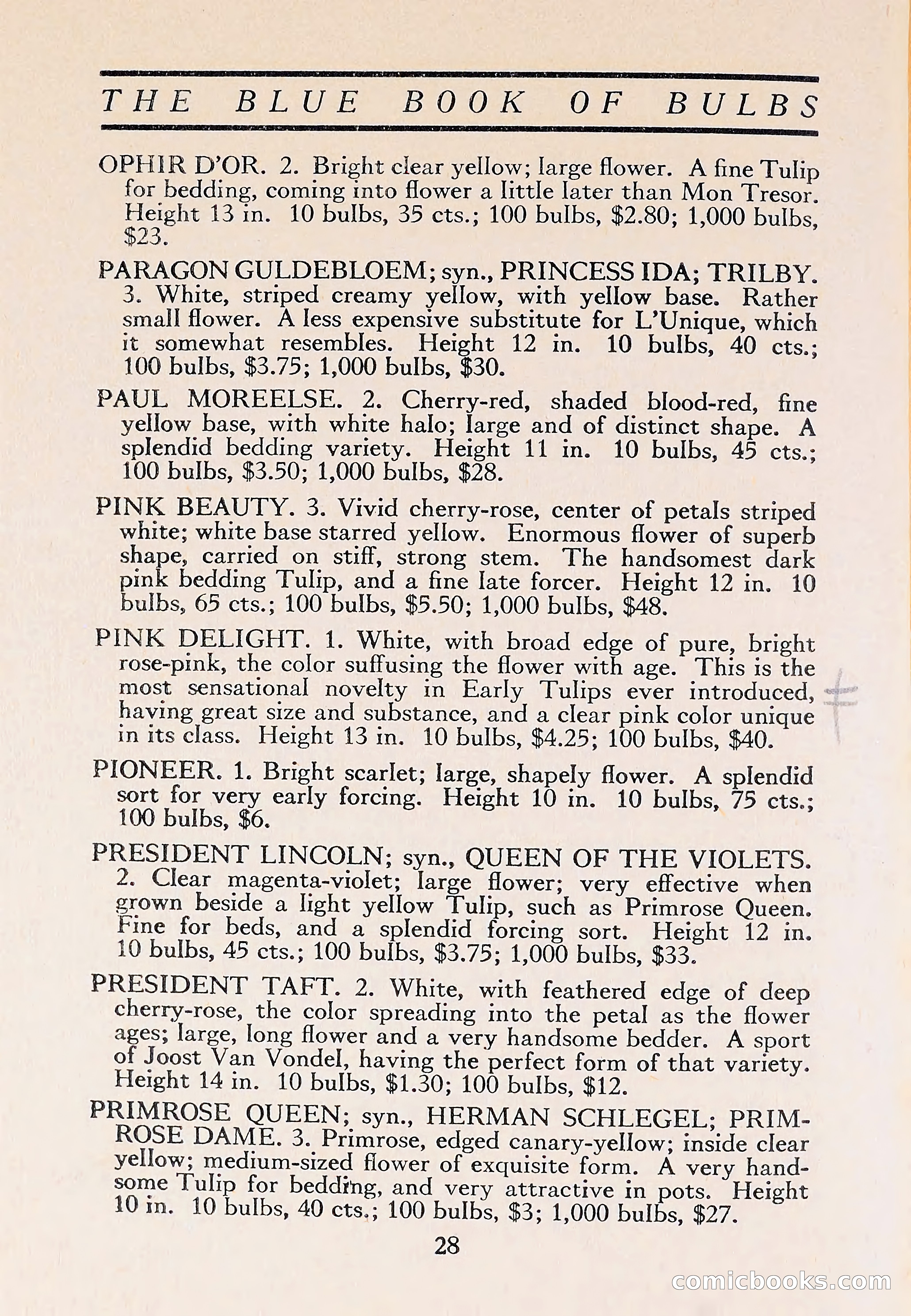 The Blue Book of Bulbs — page 32 of 110