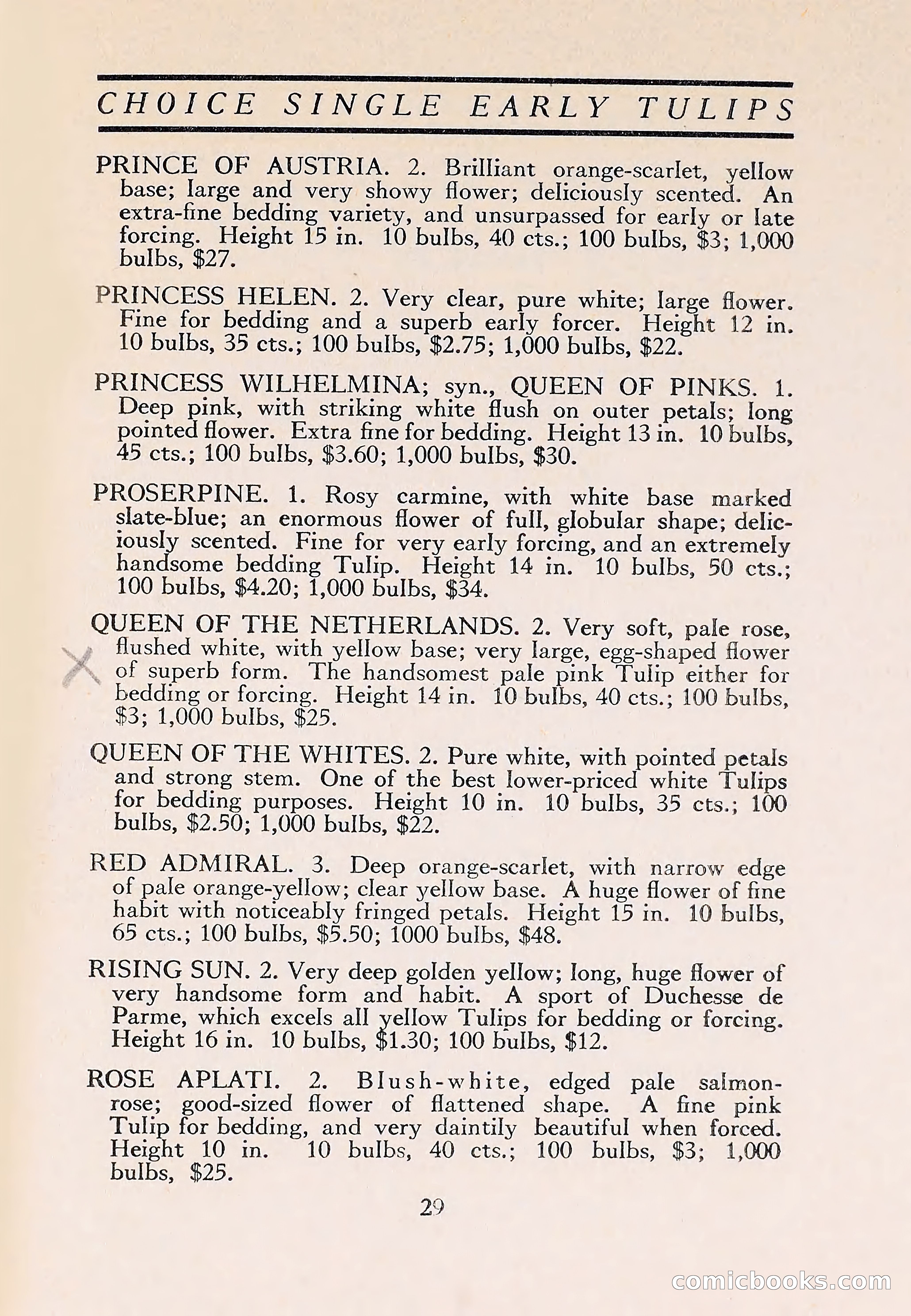 The Blue Book of Bulbs — page 33 of 110