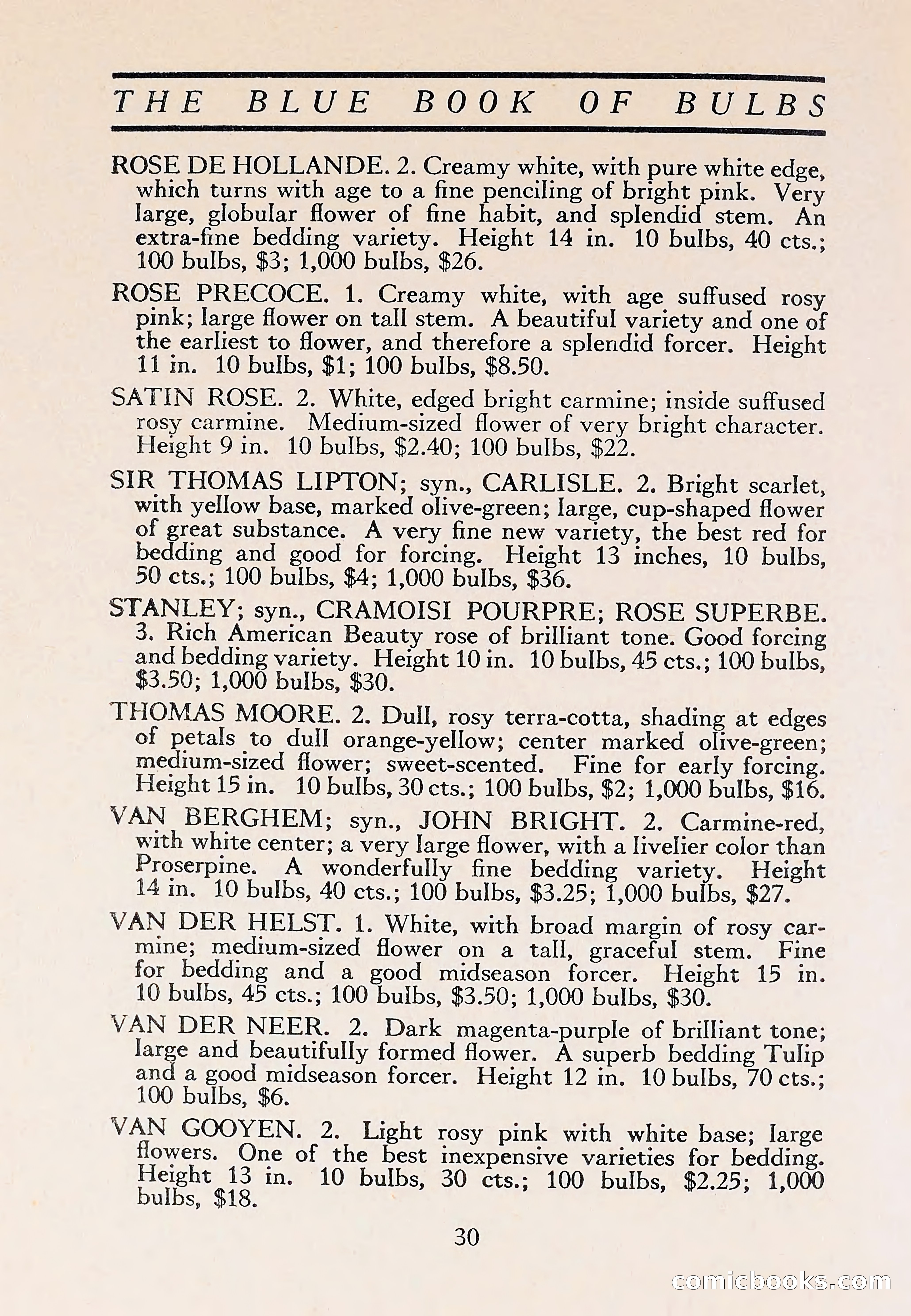 The Blue Book of Bulbs — page 34 of 110