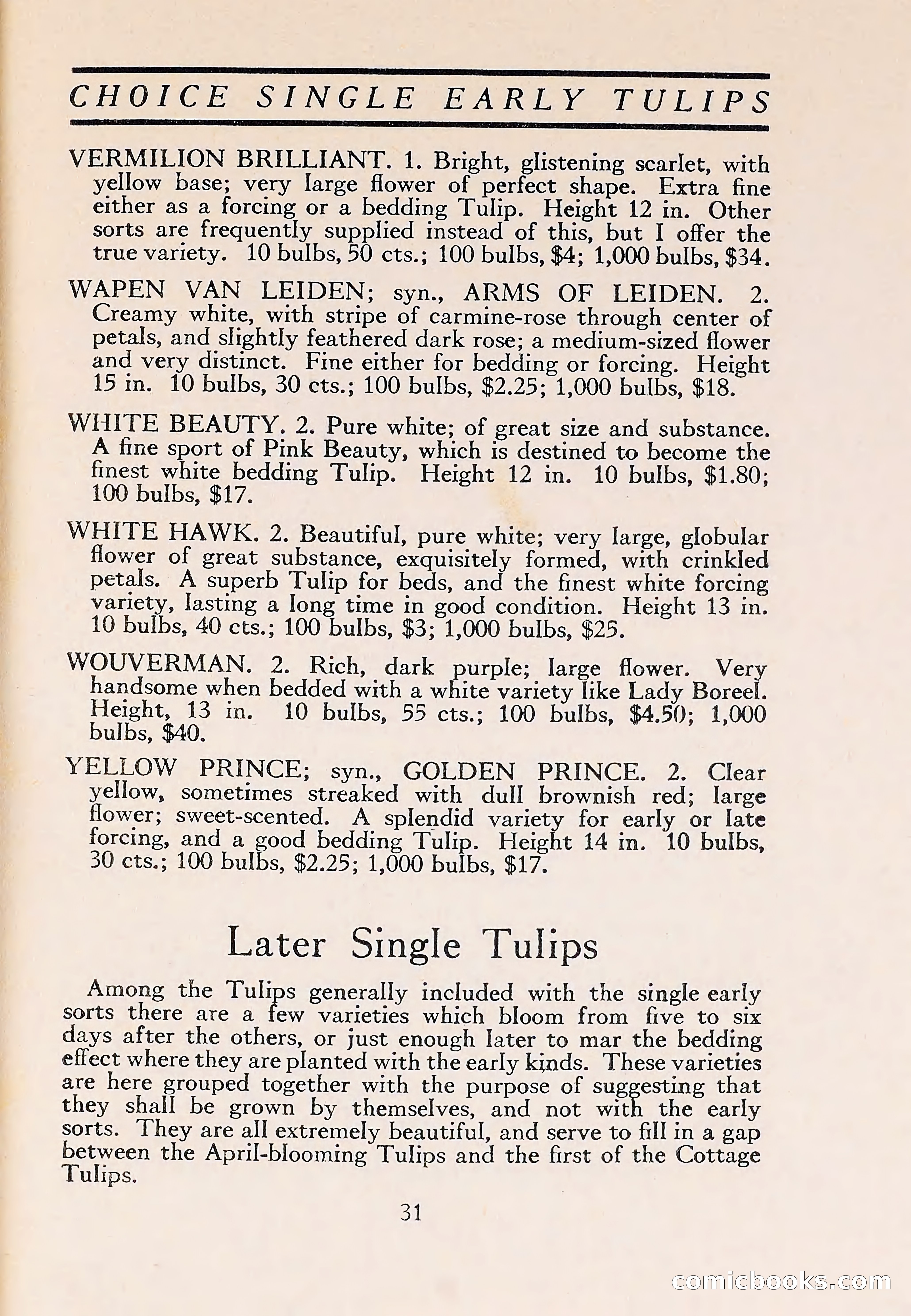 The Blue Book of Bulbs — page 35 of 110