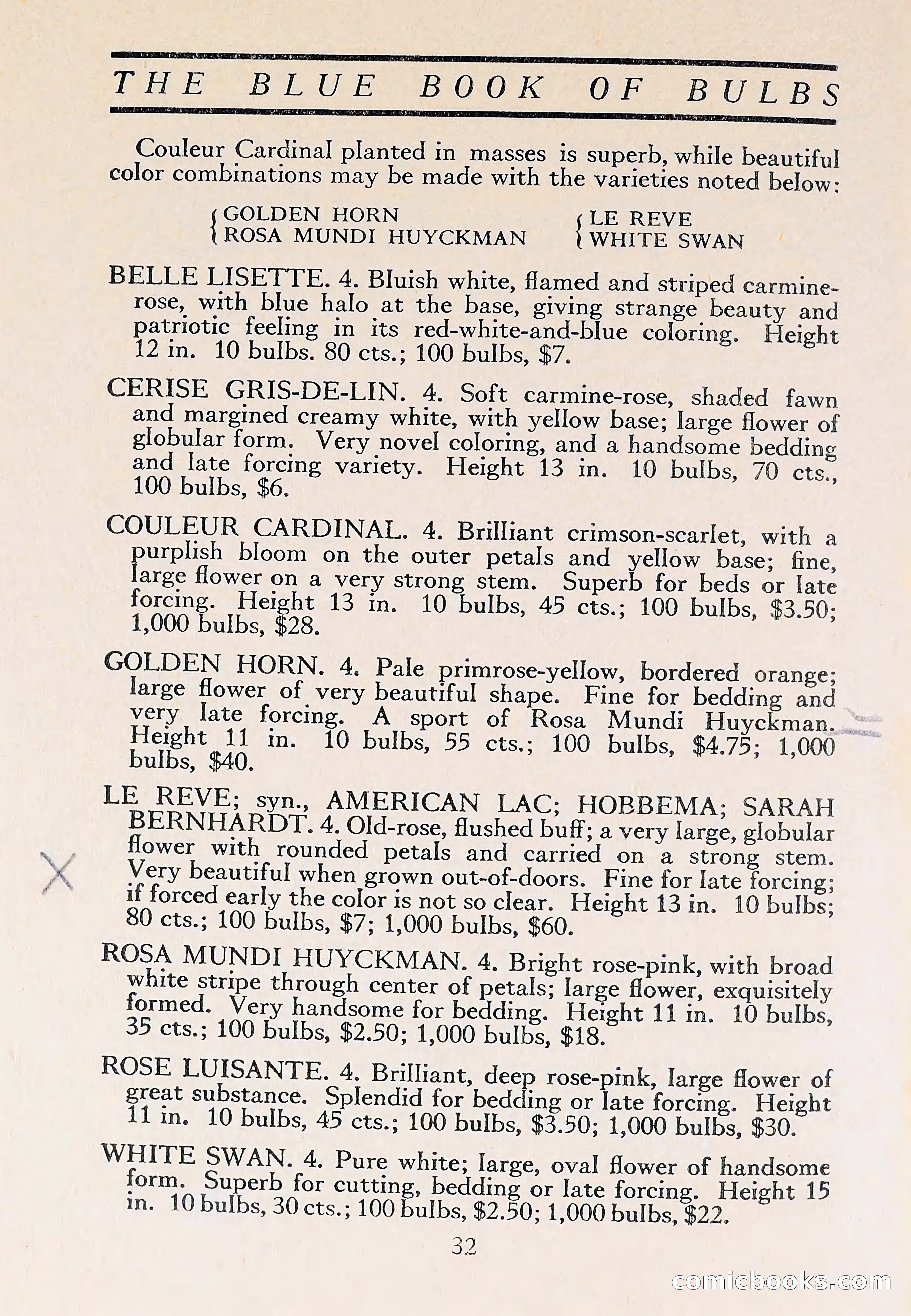 The Blue Book of Bulbs — page 36 of 110