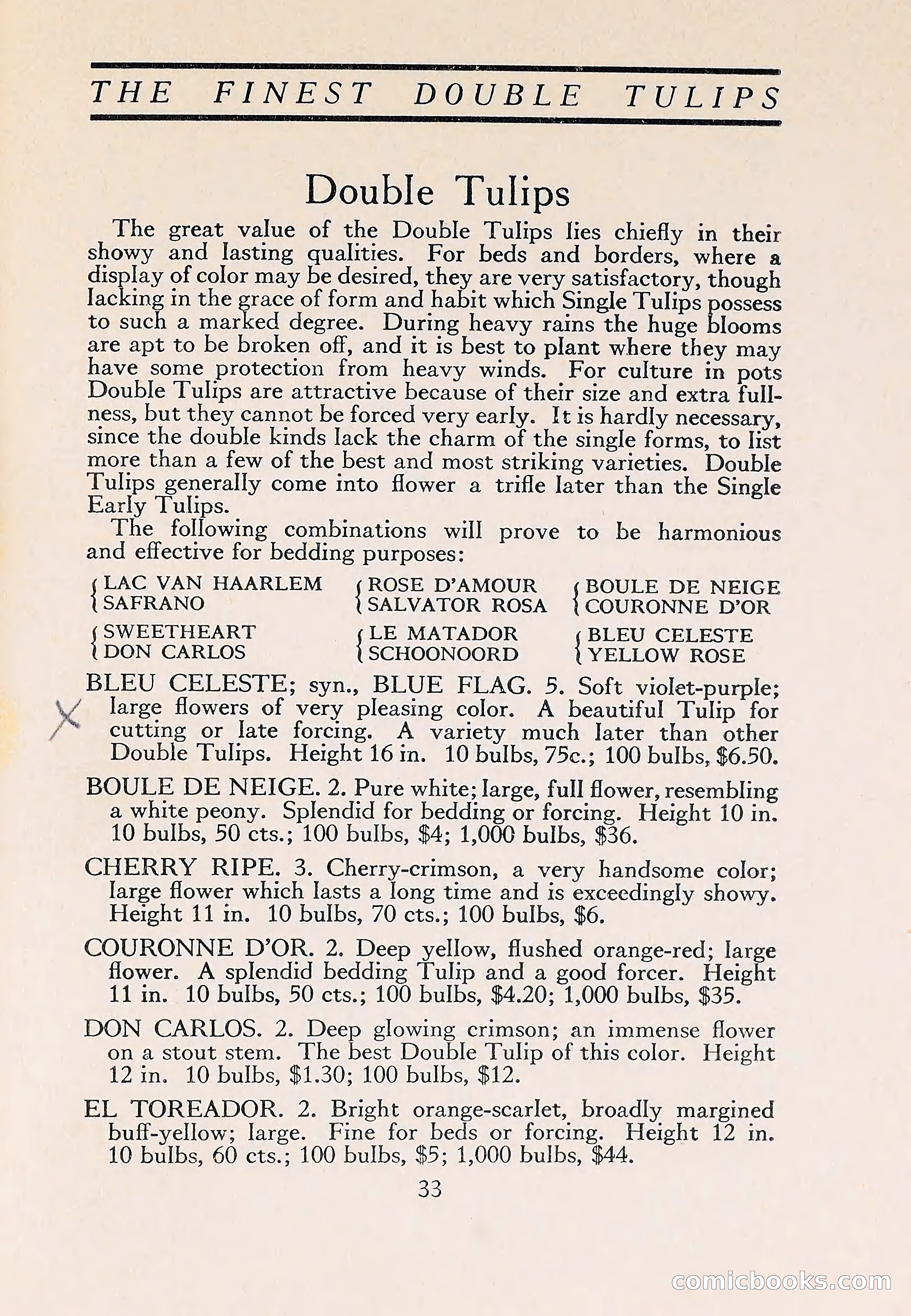 The Blue Book of Bulbs — page 37 of 110