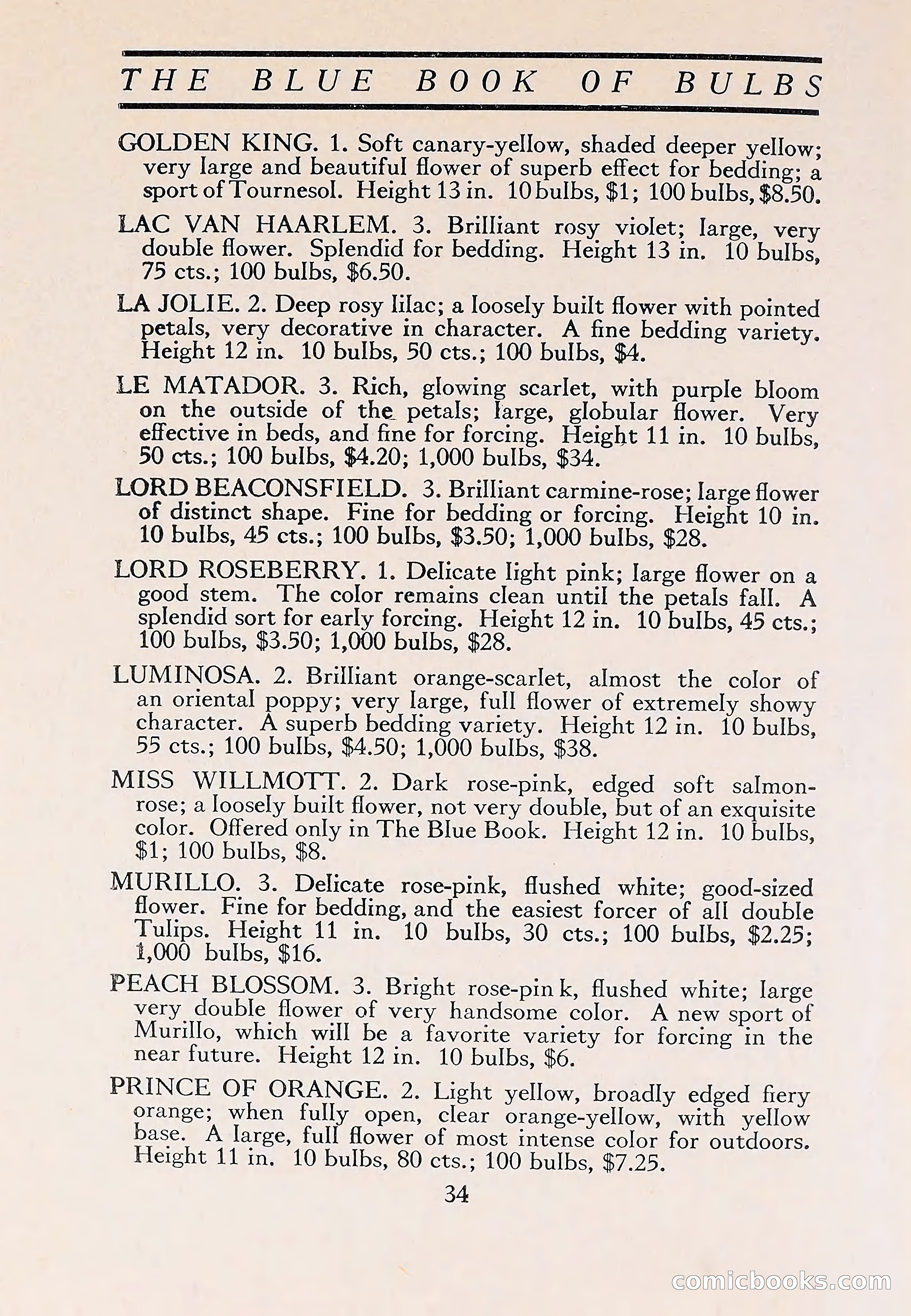 The Blue Book of Bulbs — page 38 of 110