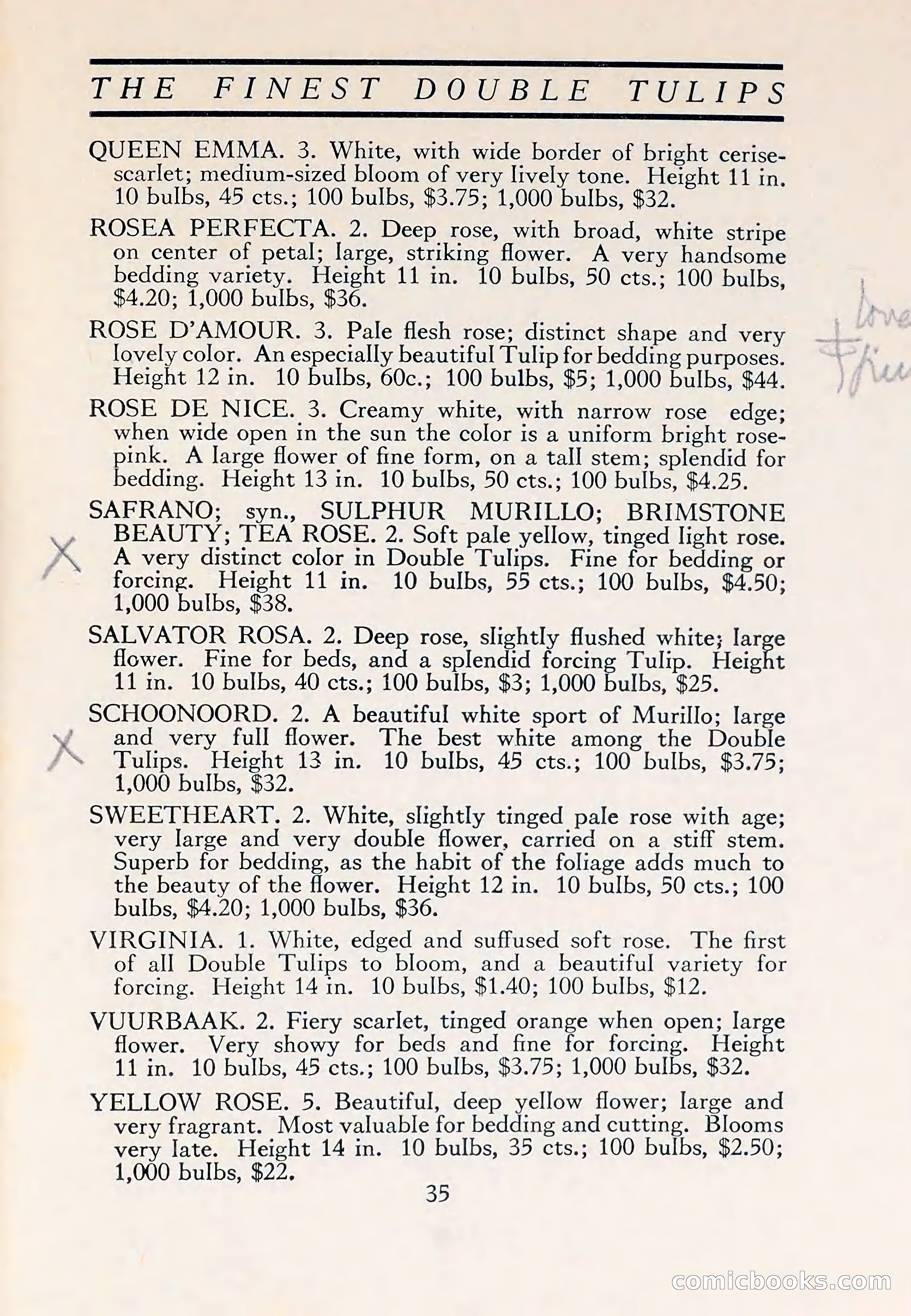 The Blue Book of Bulbs — page 39 of 110