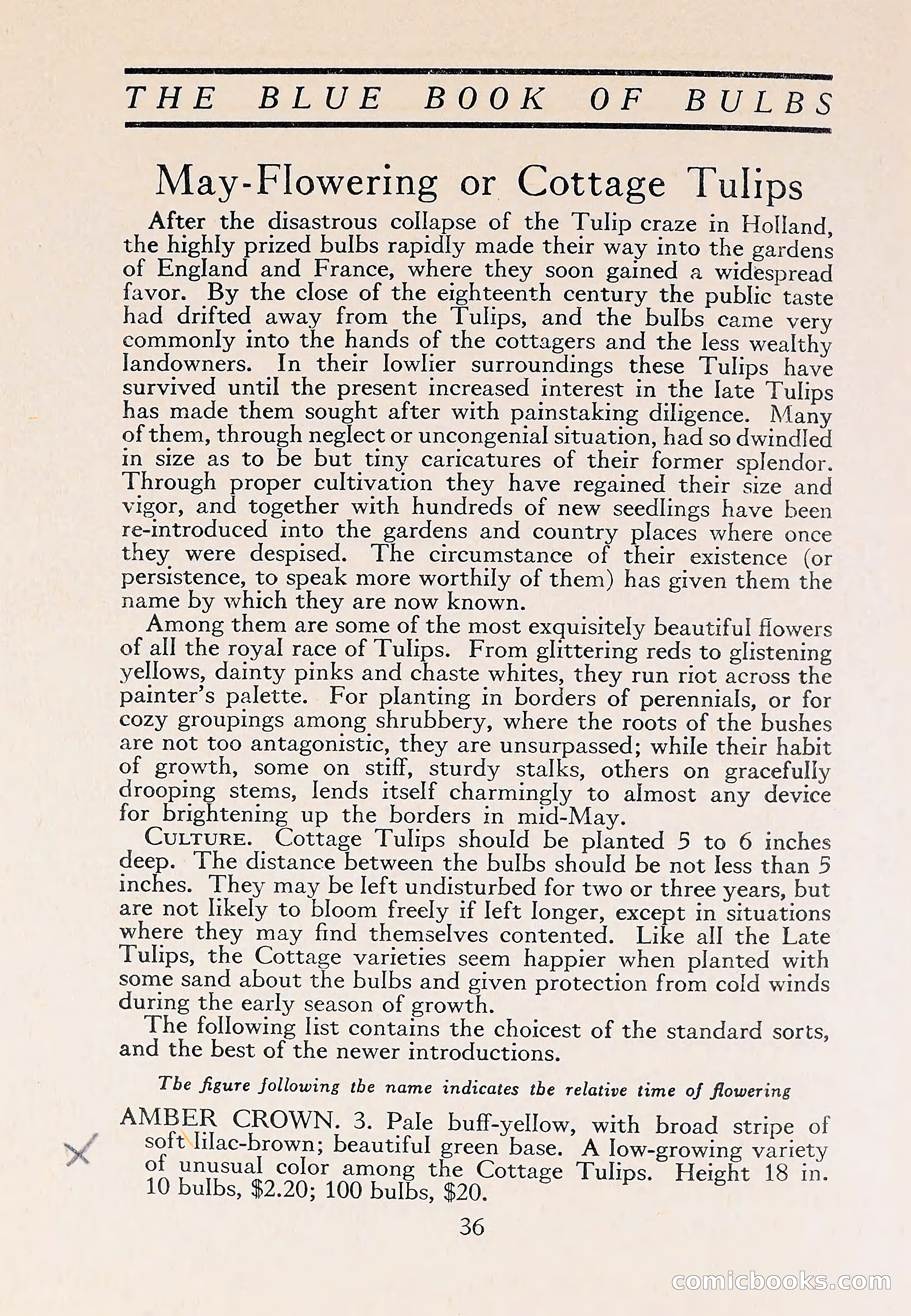 The Blue Book of Bulbs — page 40 of 110