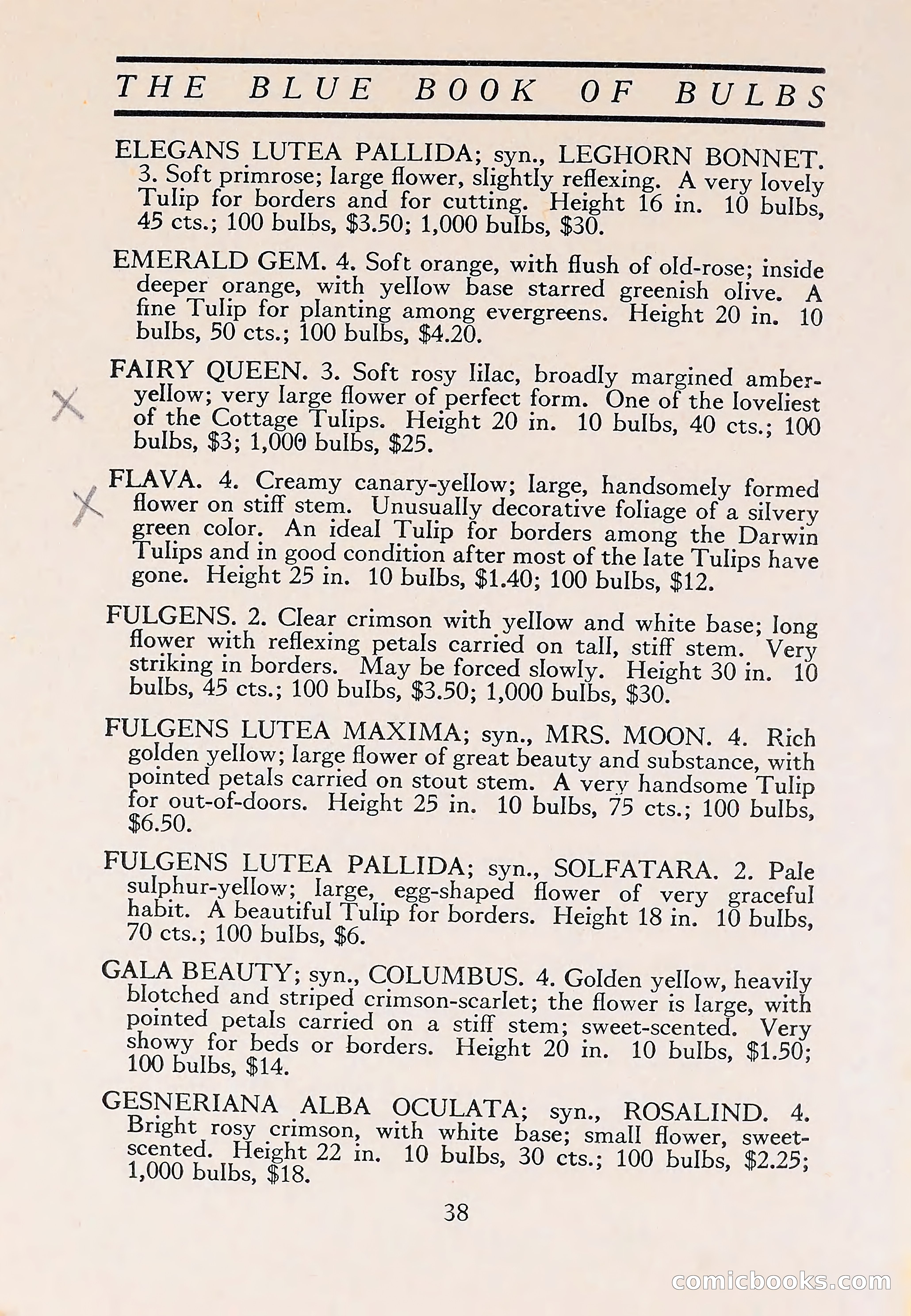 The Blue Book of Bulbs — page 42 of 110