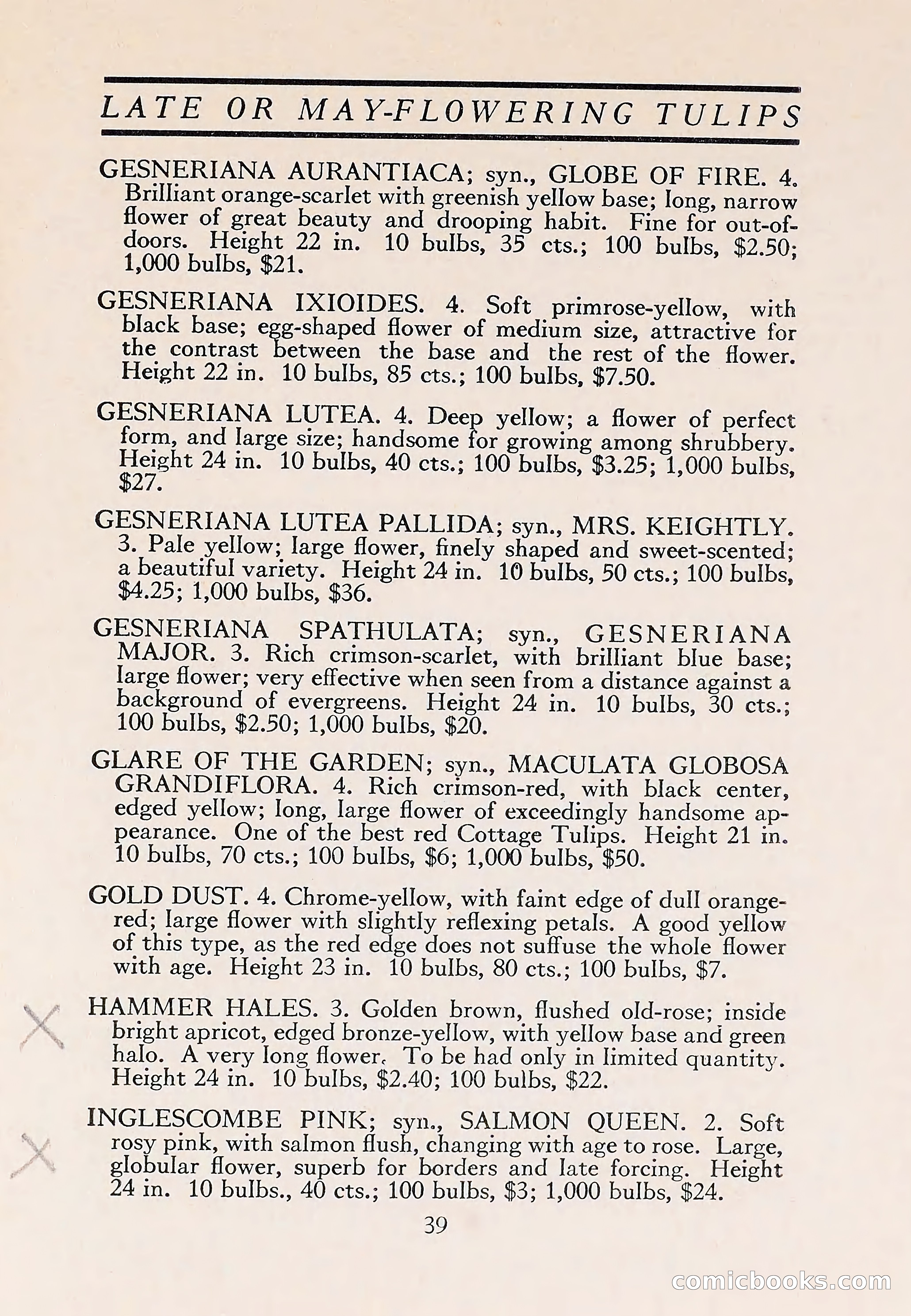 The Blue Book of Bulbs — page 43 of 110