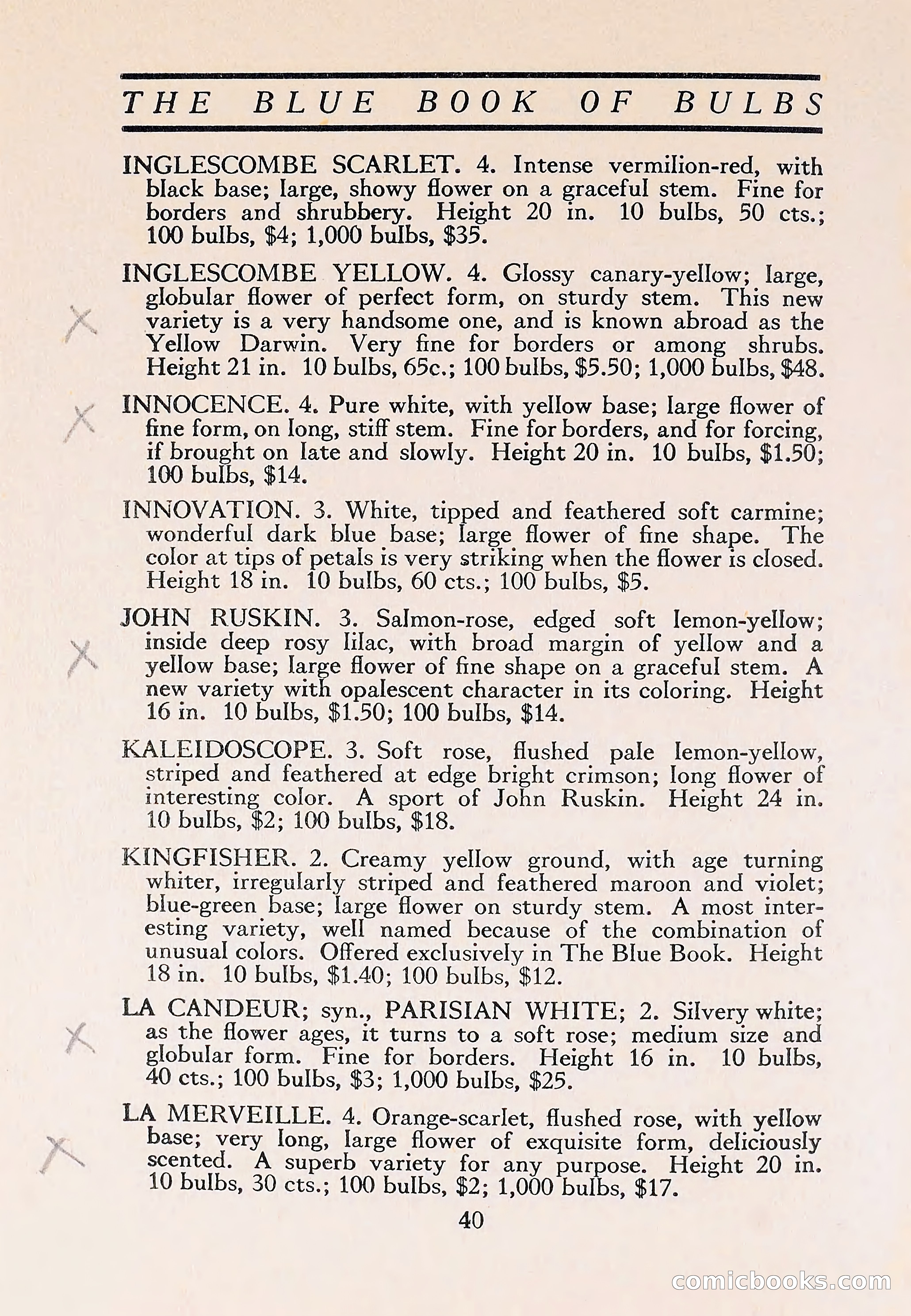 The Blue Book of Bulbs — page 44 of 110