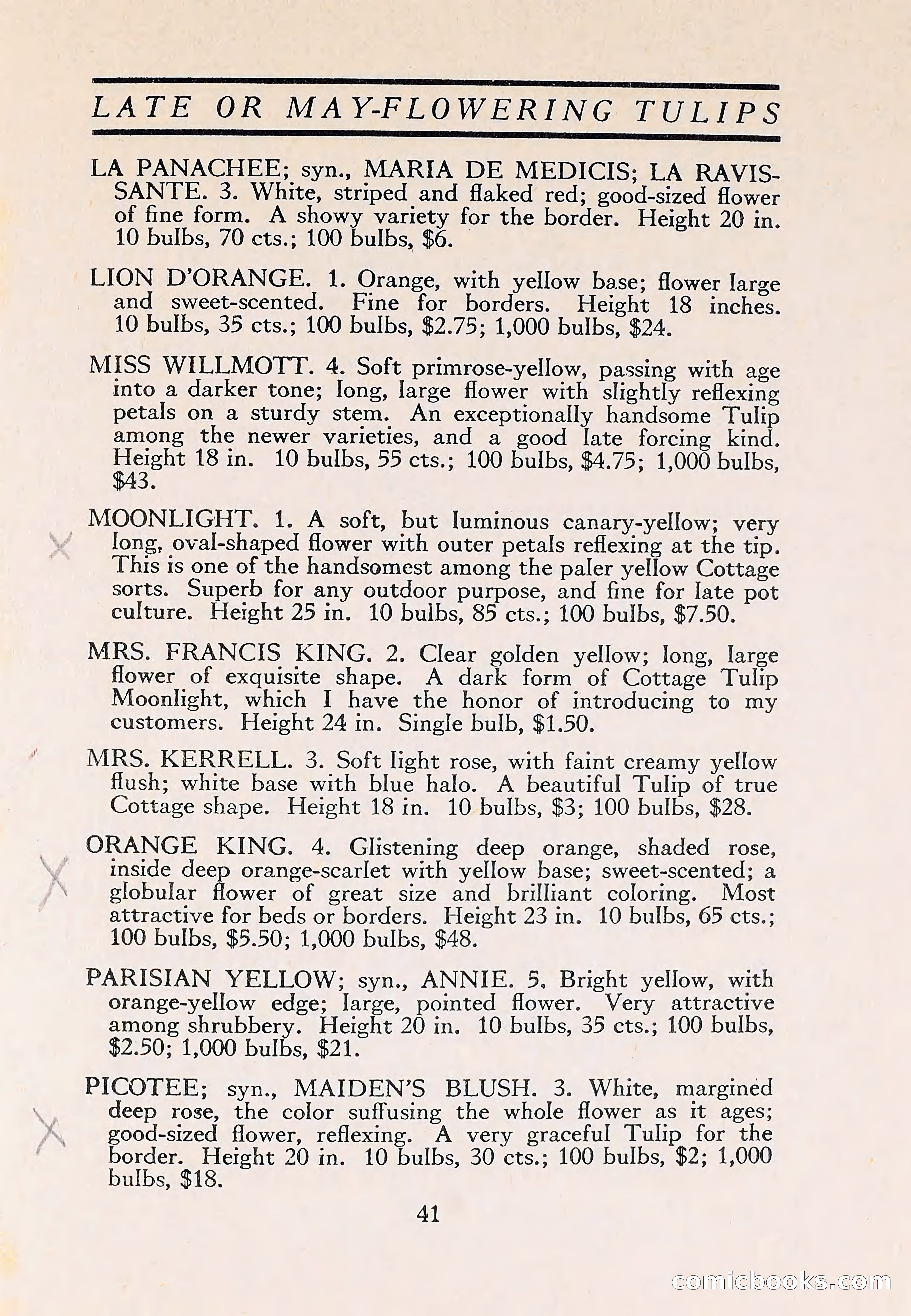The Blue Book of Bulbs — page 45 of 110