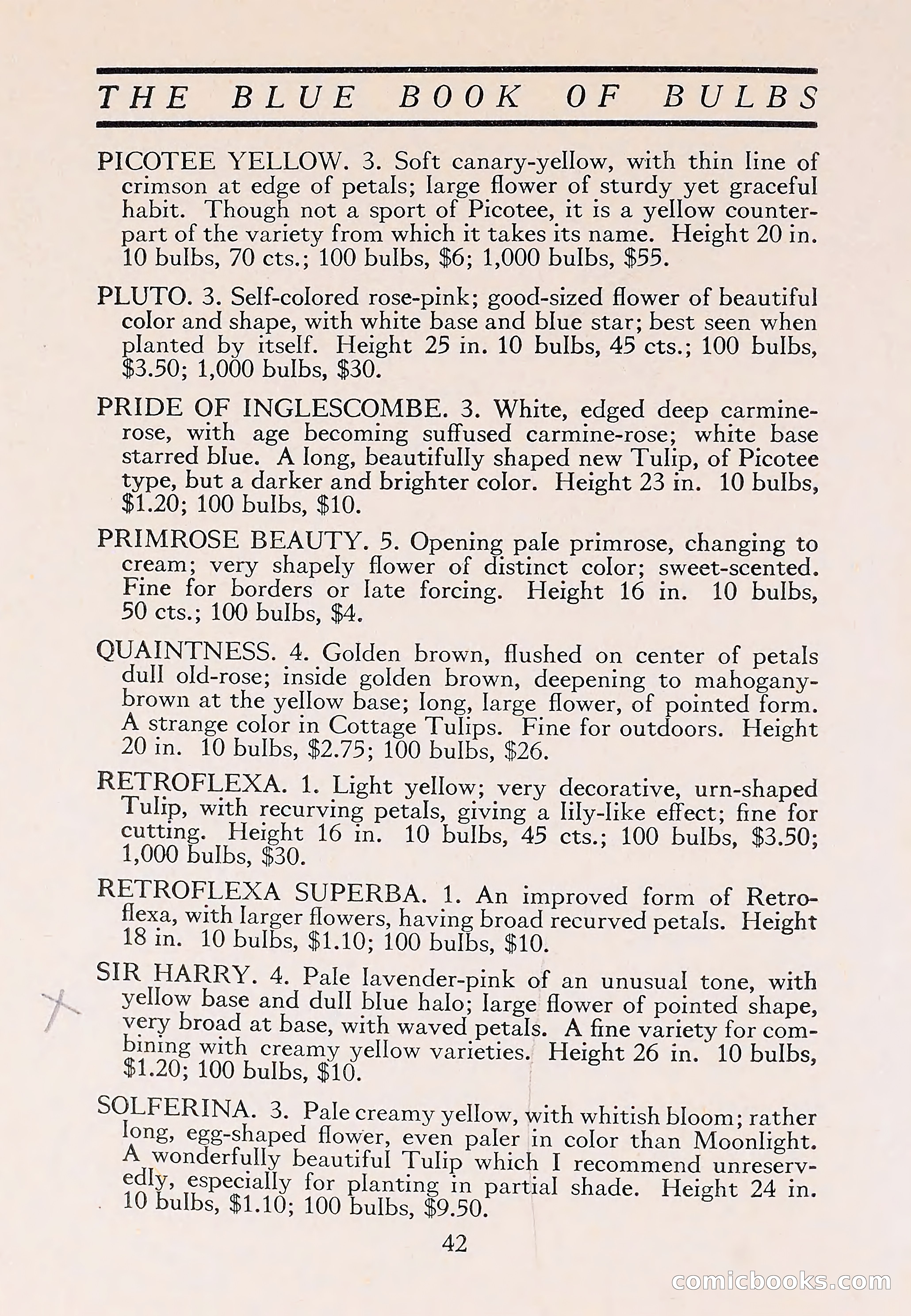 The Blue Book of Bulbs — page 46 of 110