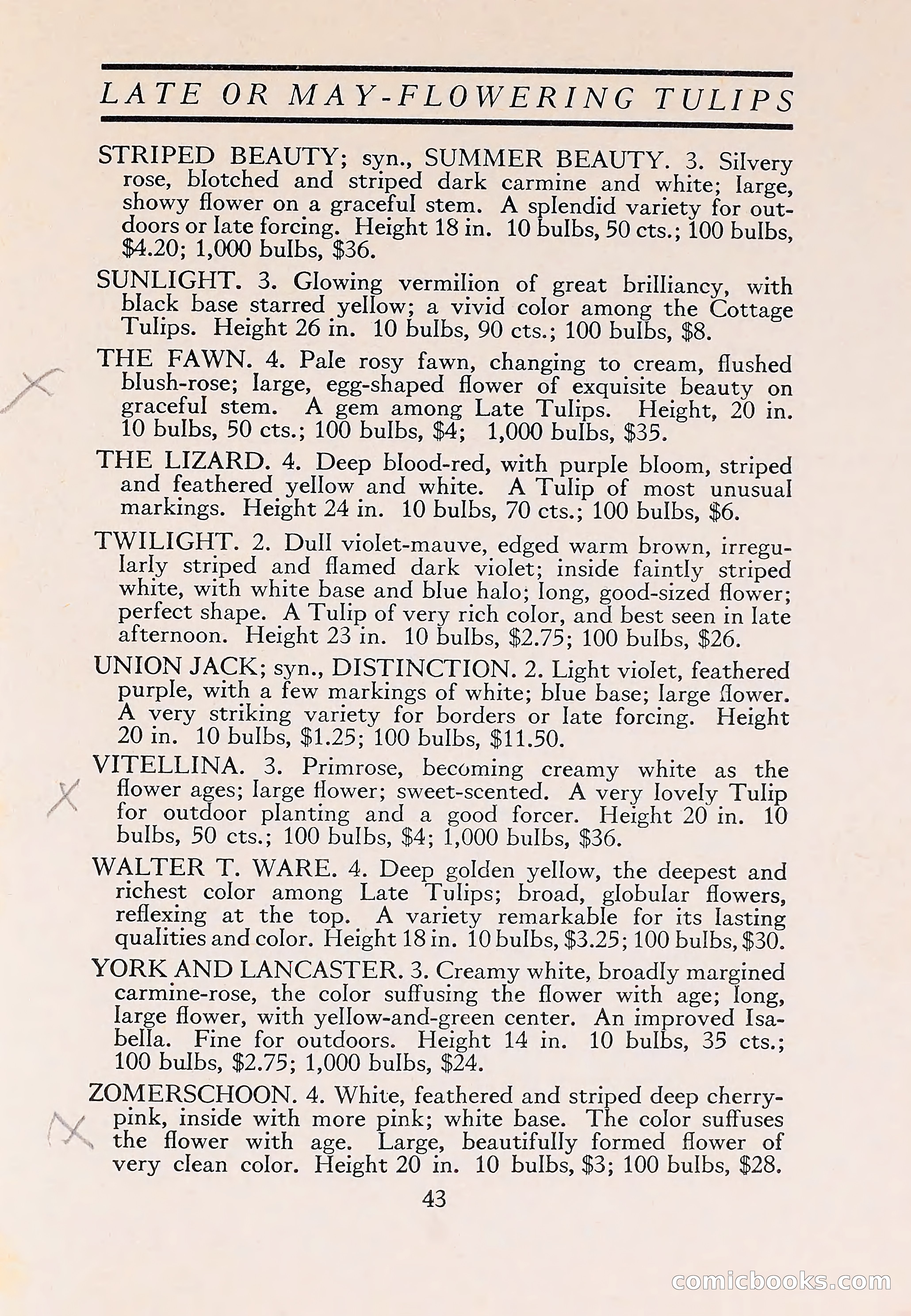 The Blue Book of Bulbs — page 47 of 110