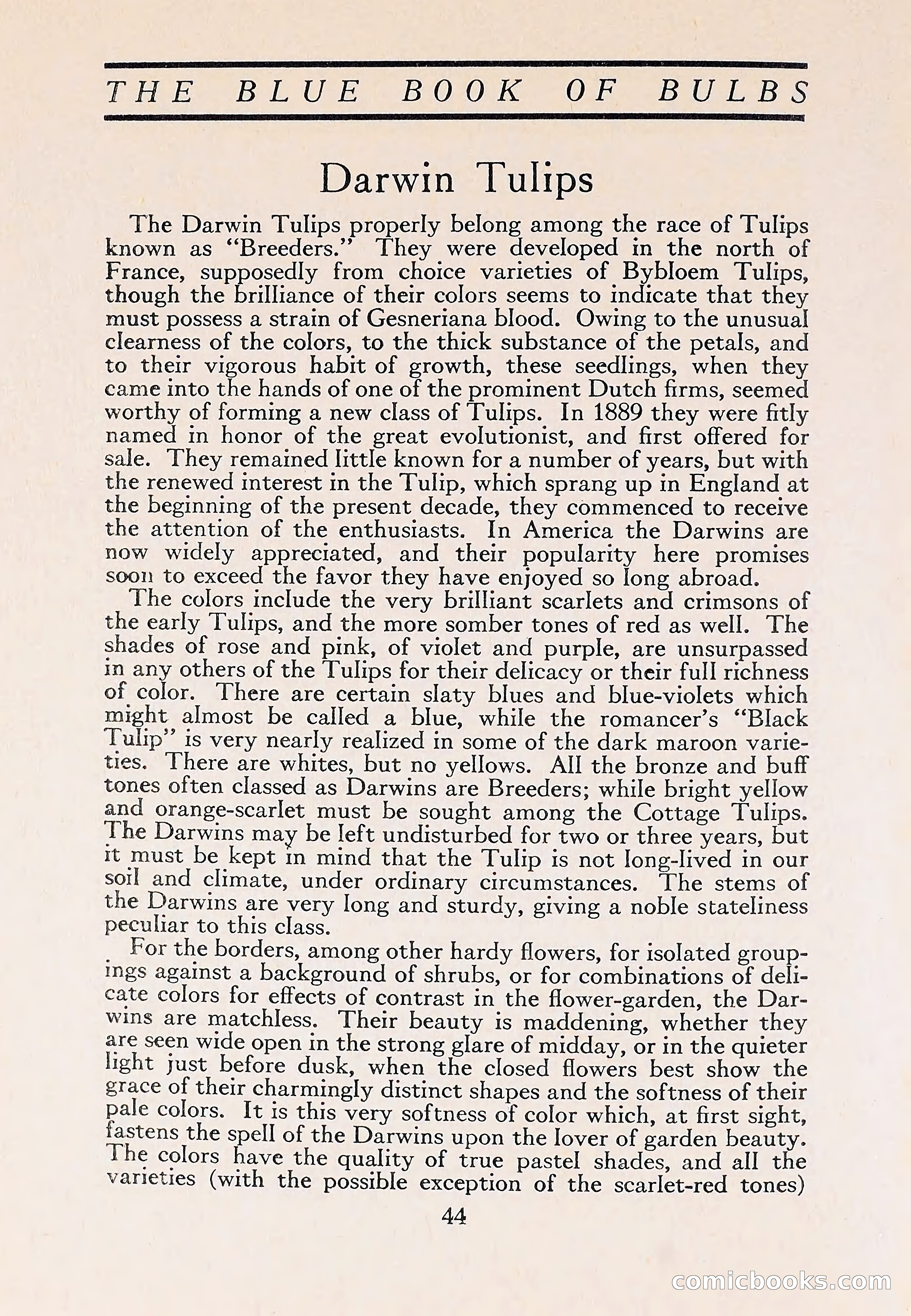 The Blue Book of Bulbs — page 48 of 110