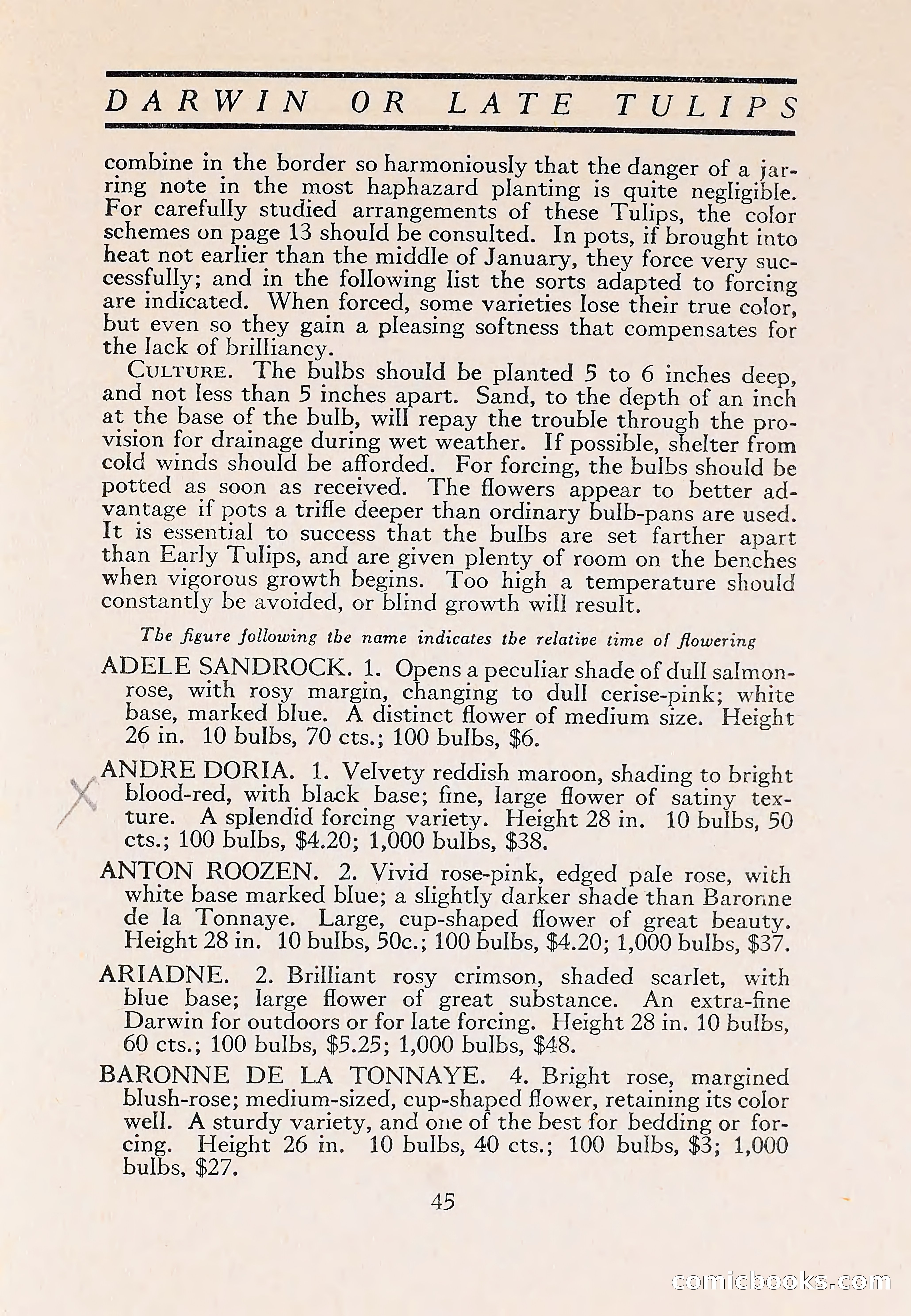 The Blue Book of Bulbs — page 49 of 110