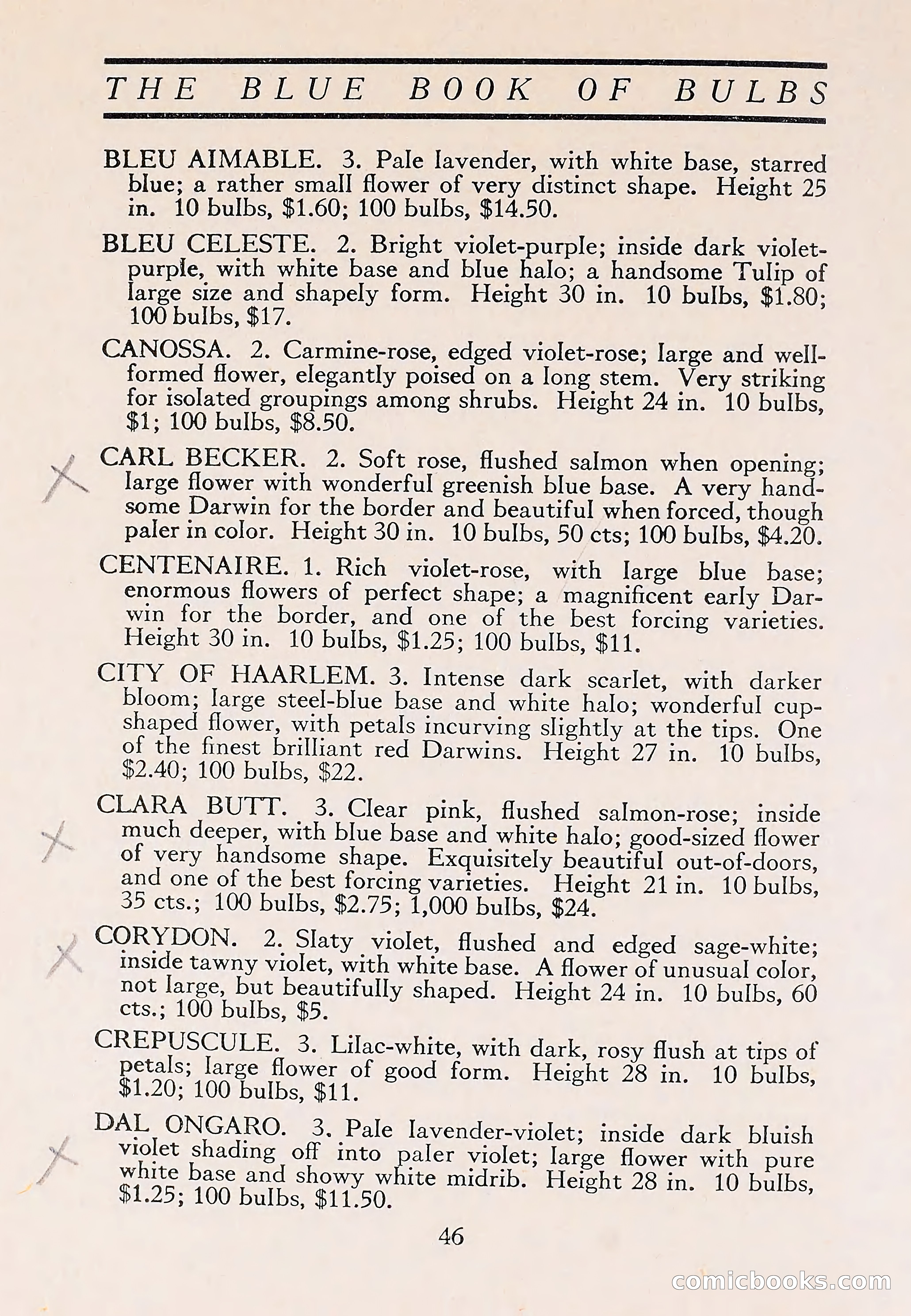 The Blue Book of Bulbs — page 50 of 110