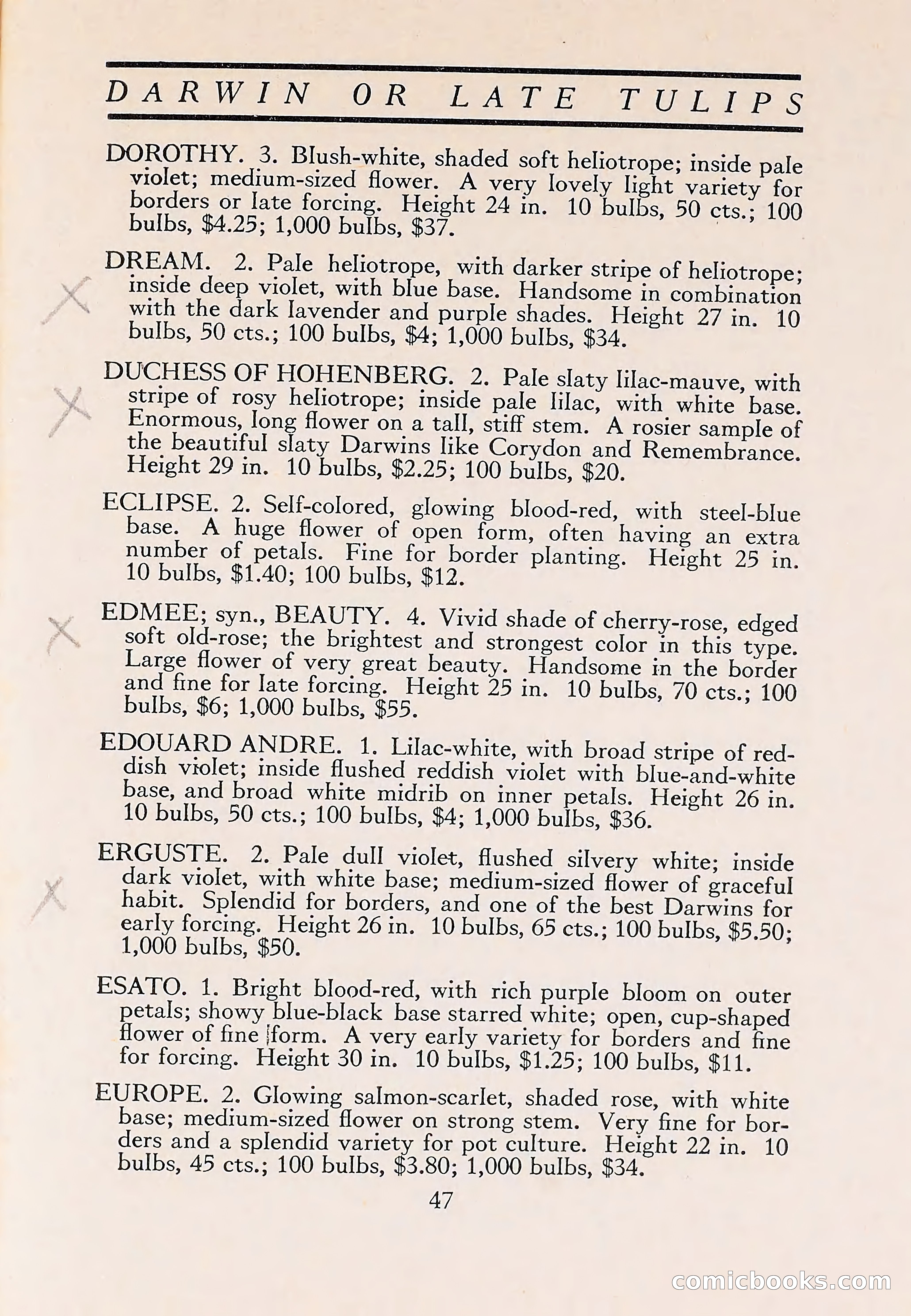 The Blue Book of Bulbs — page 51 of 110