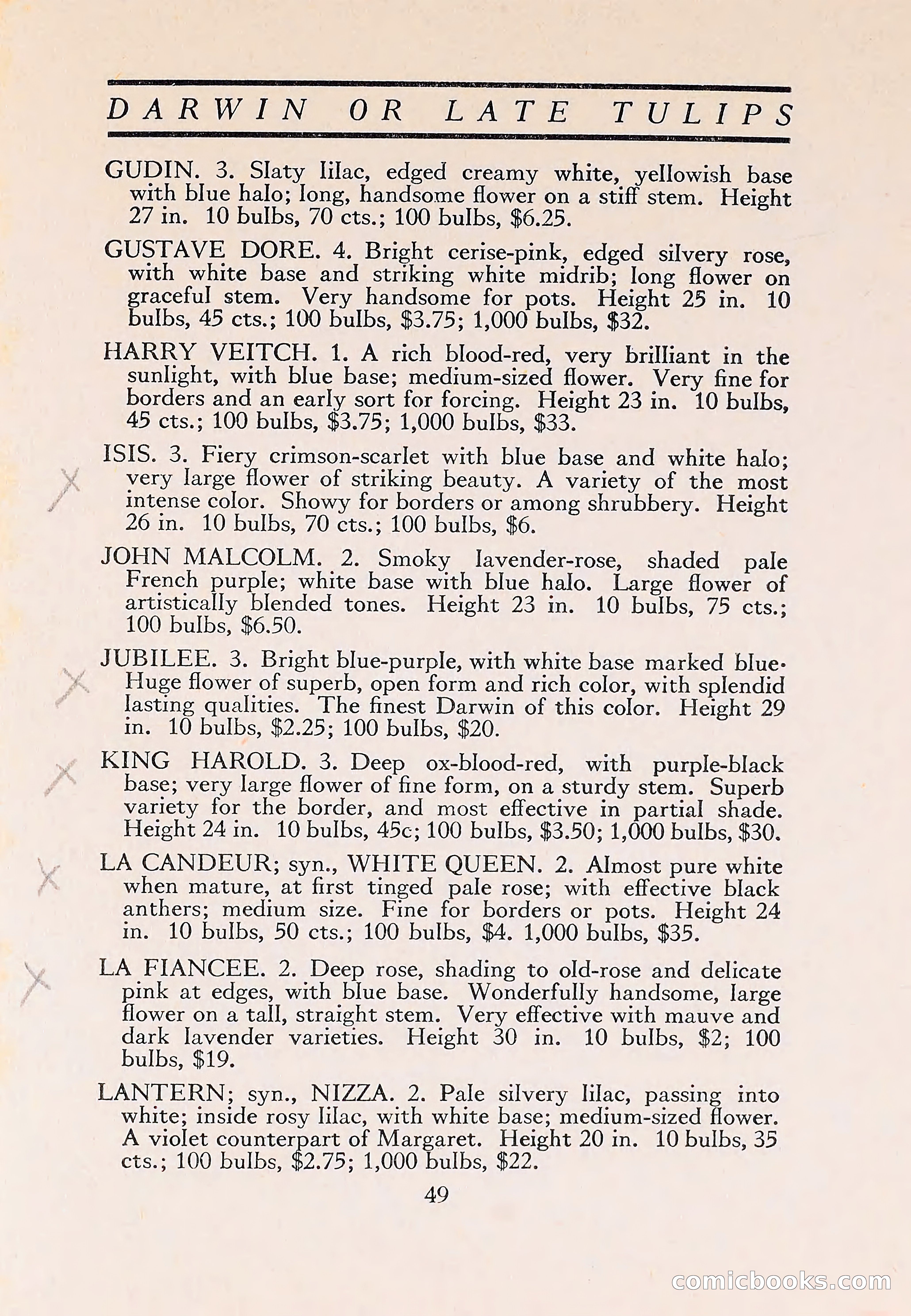 The Blue Book of Bulbs — page 53 of 110