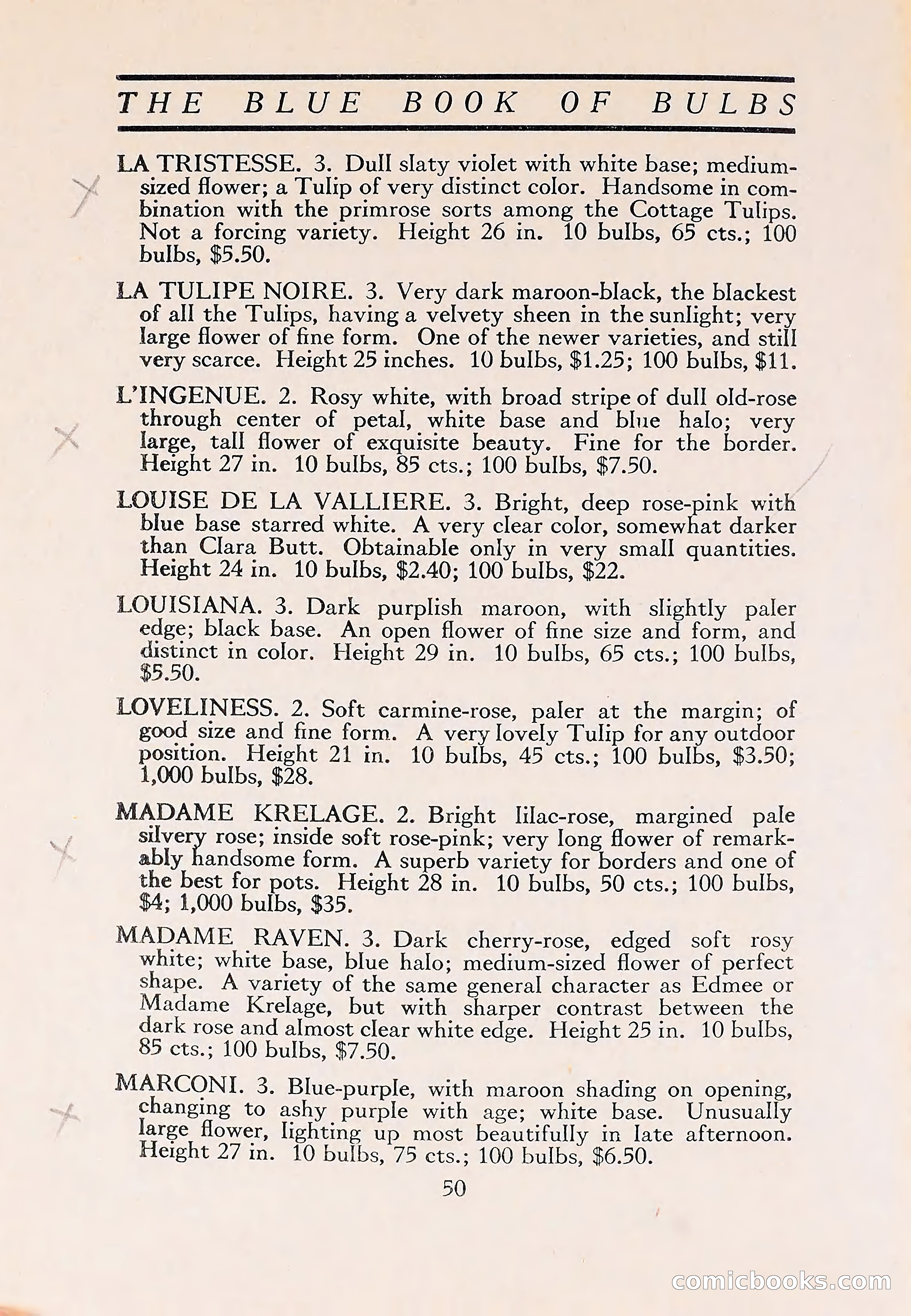 The Blue Book of Bulbs — page 54 of 110