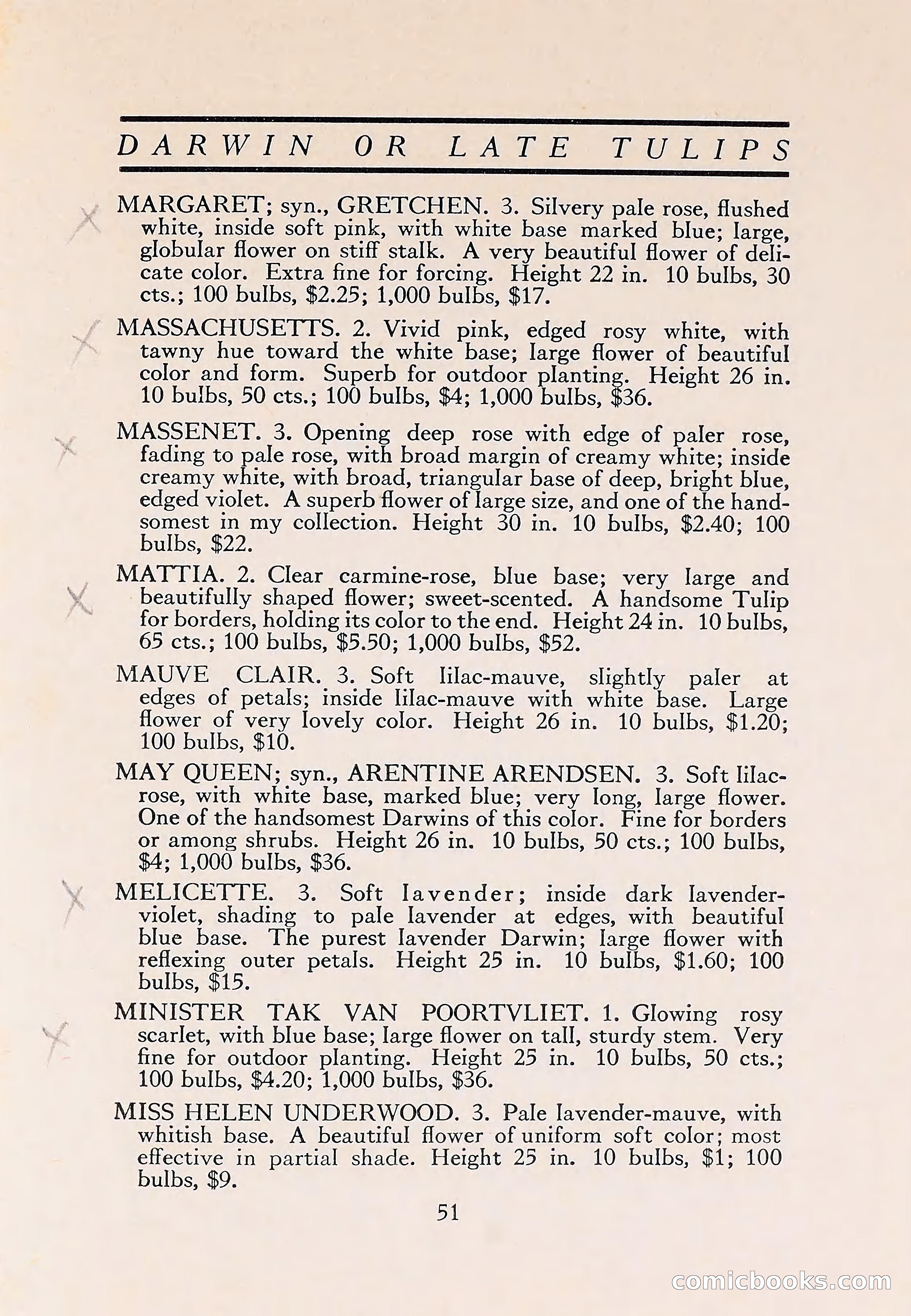 The Blue Book of Bulbs — page 55 of 110