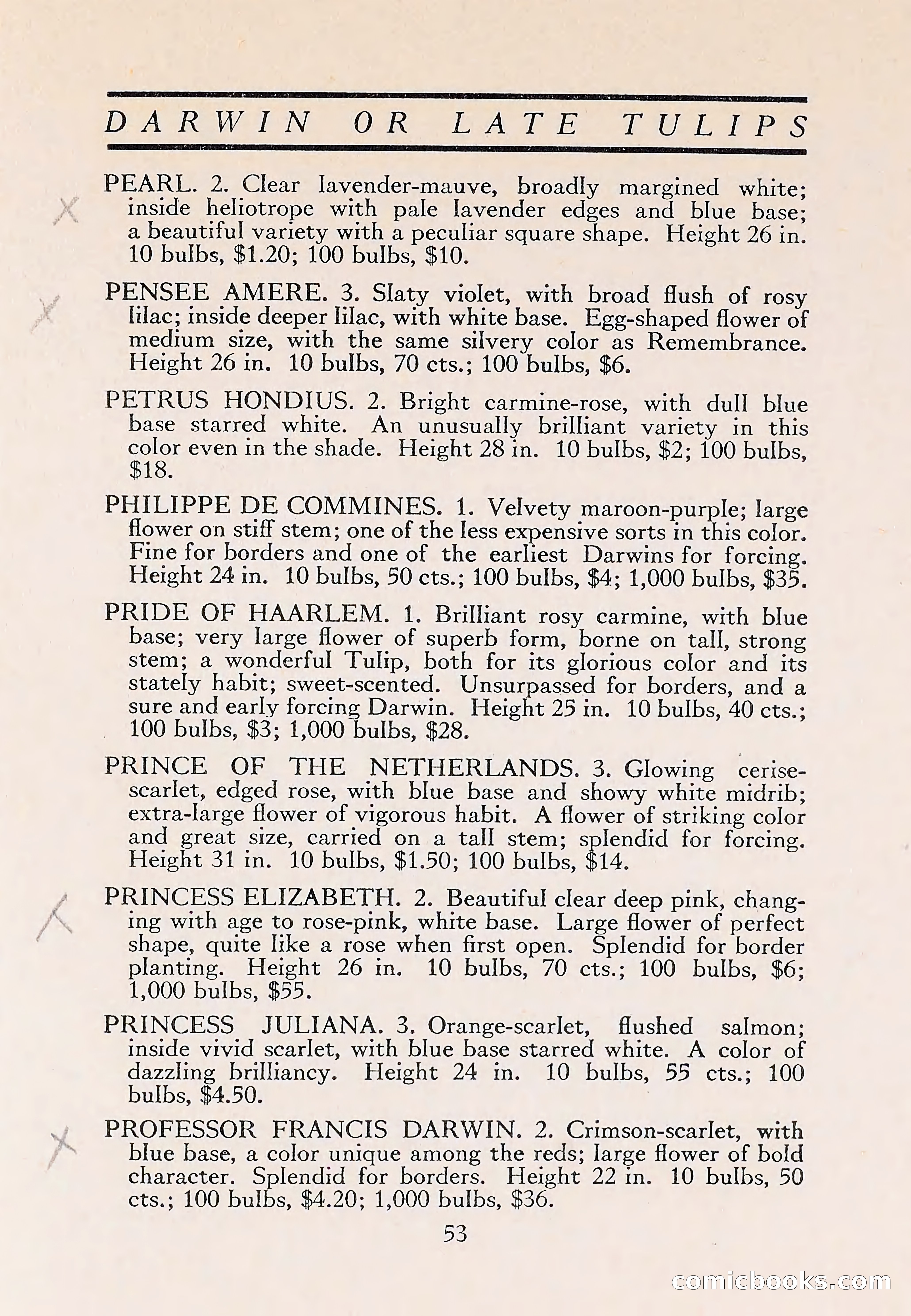 The Blue Book of Bulbs — page 57 of 110