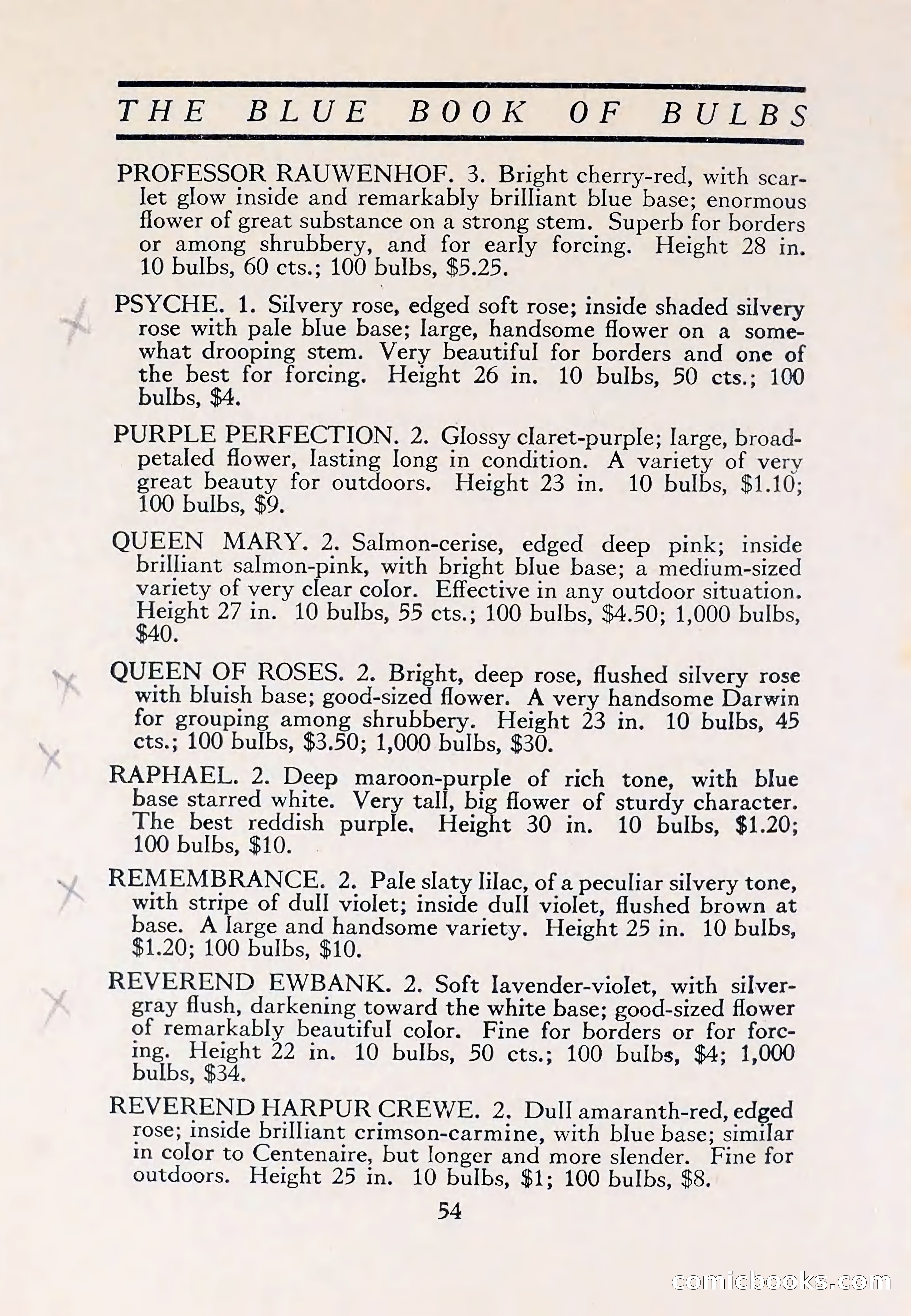 The Blue Book of Bulbs — page 58 of 110