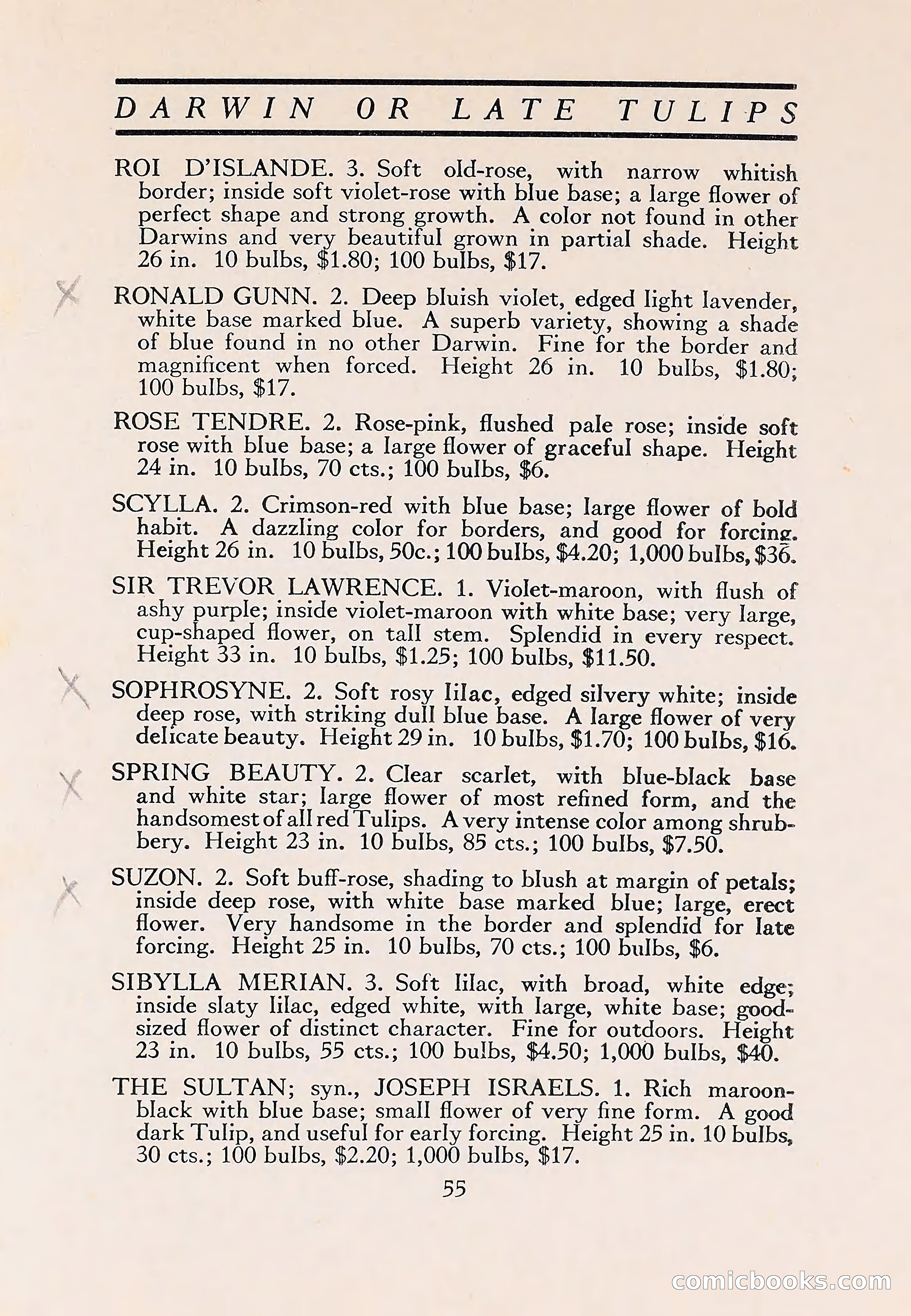 The Blue Book of Bulbs — page 59 of 110