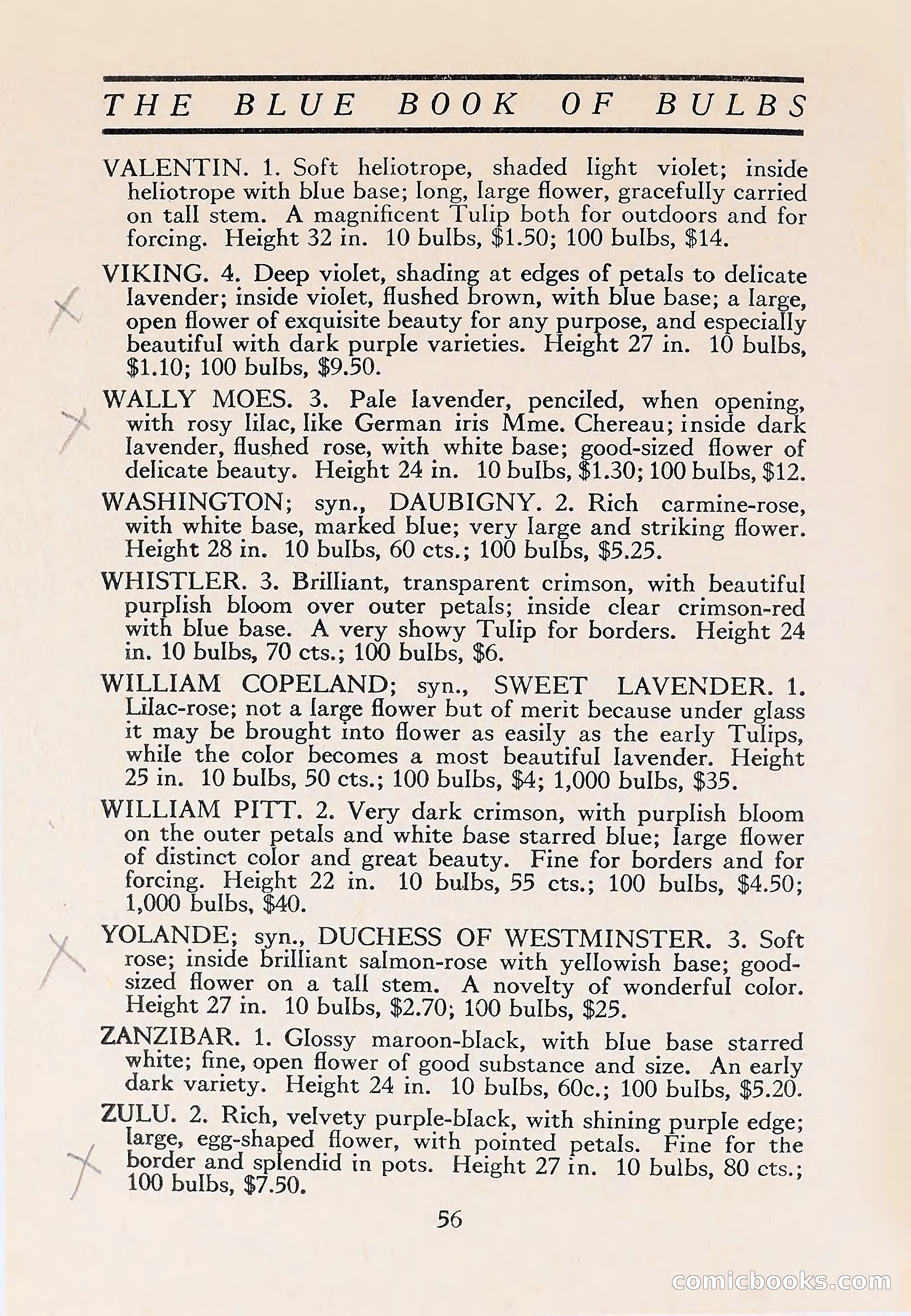 The Blue Book of Bulbs — page 60 of 110