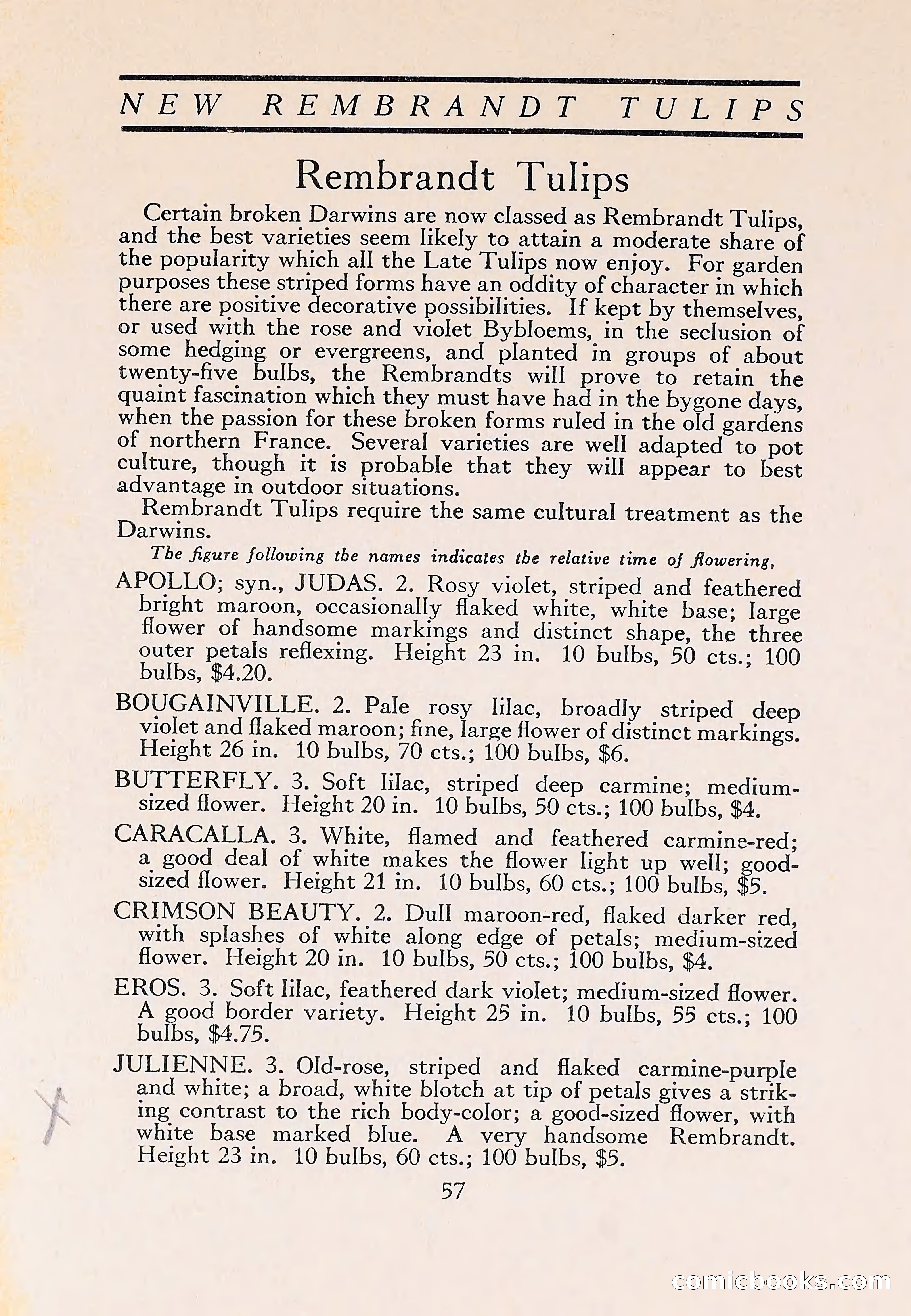 The Blue Book of Bulbs — page 61 of 110