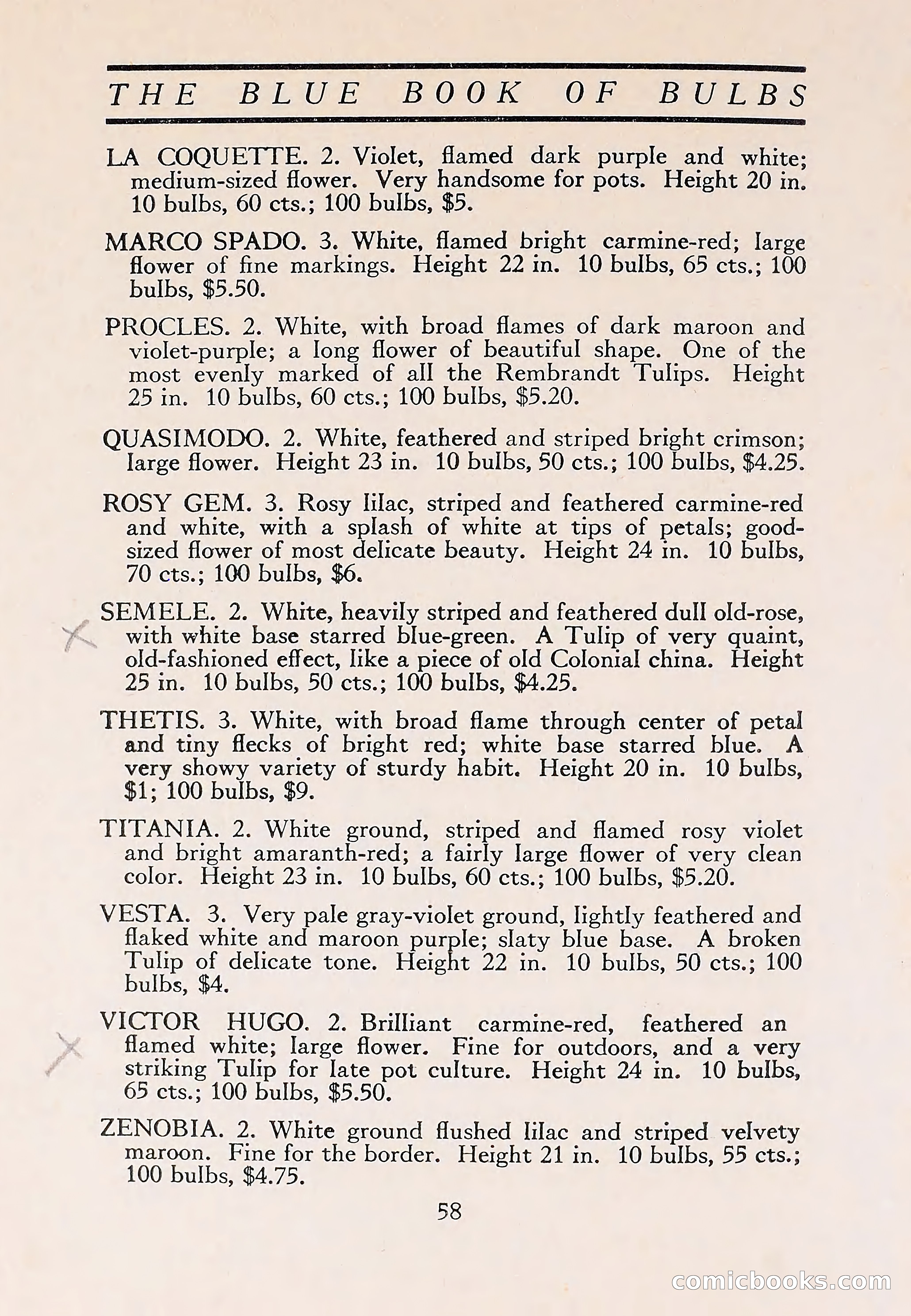 The Blue Book of Bulbs — page 62 of 110