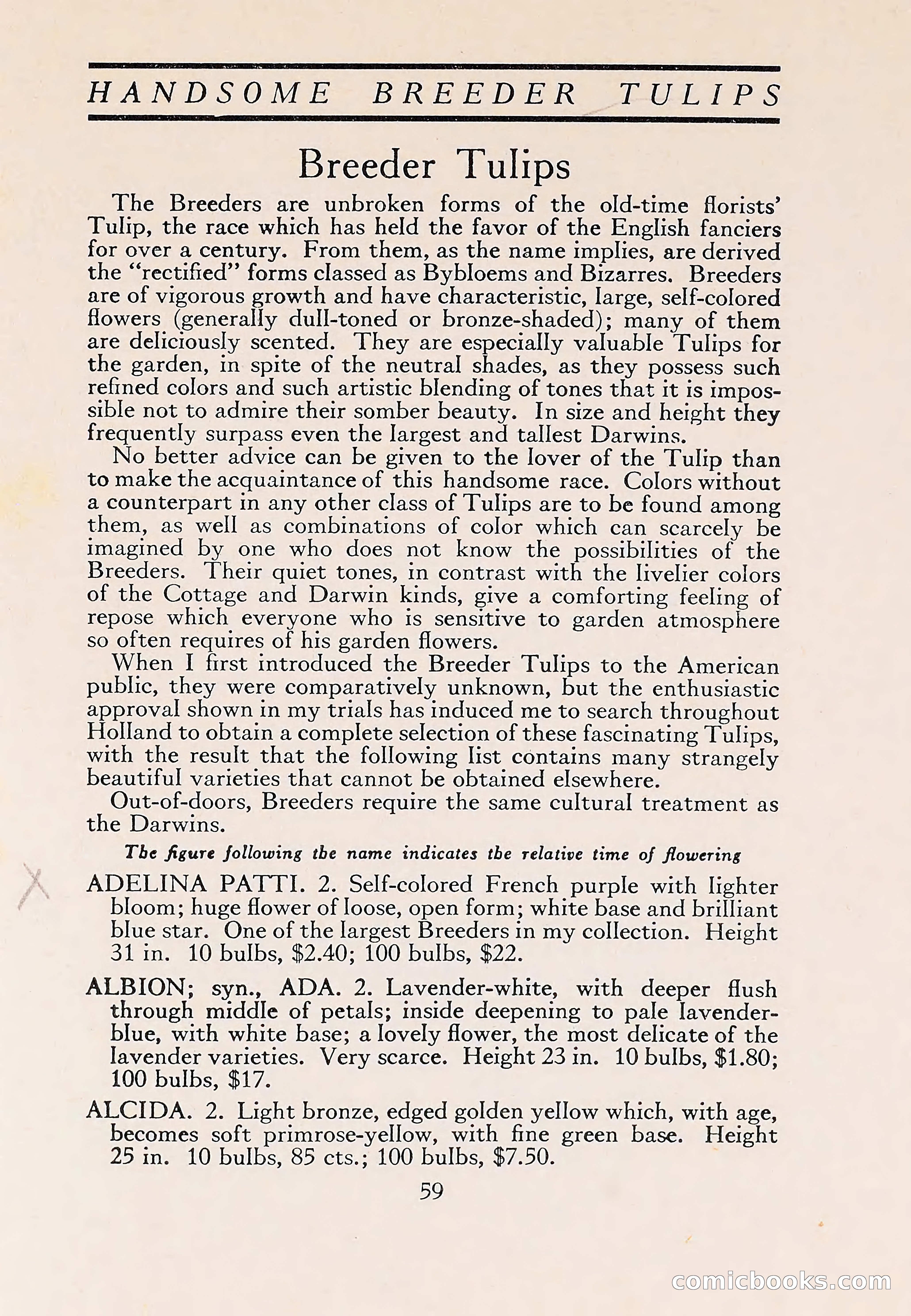 The Blue Book of Bulbs — page 63 of 110