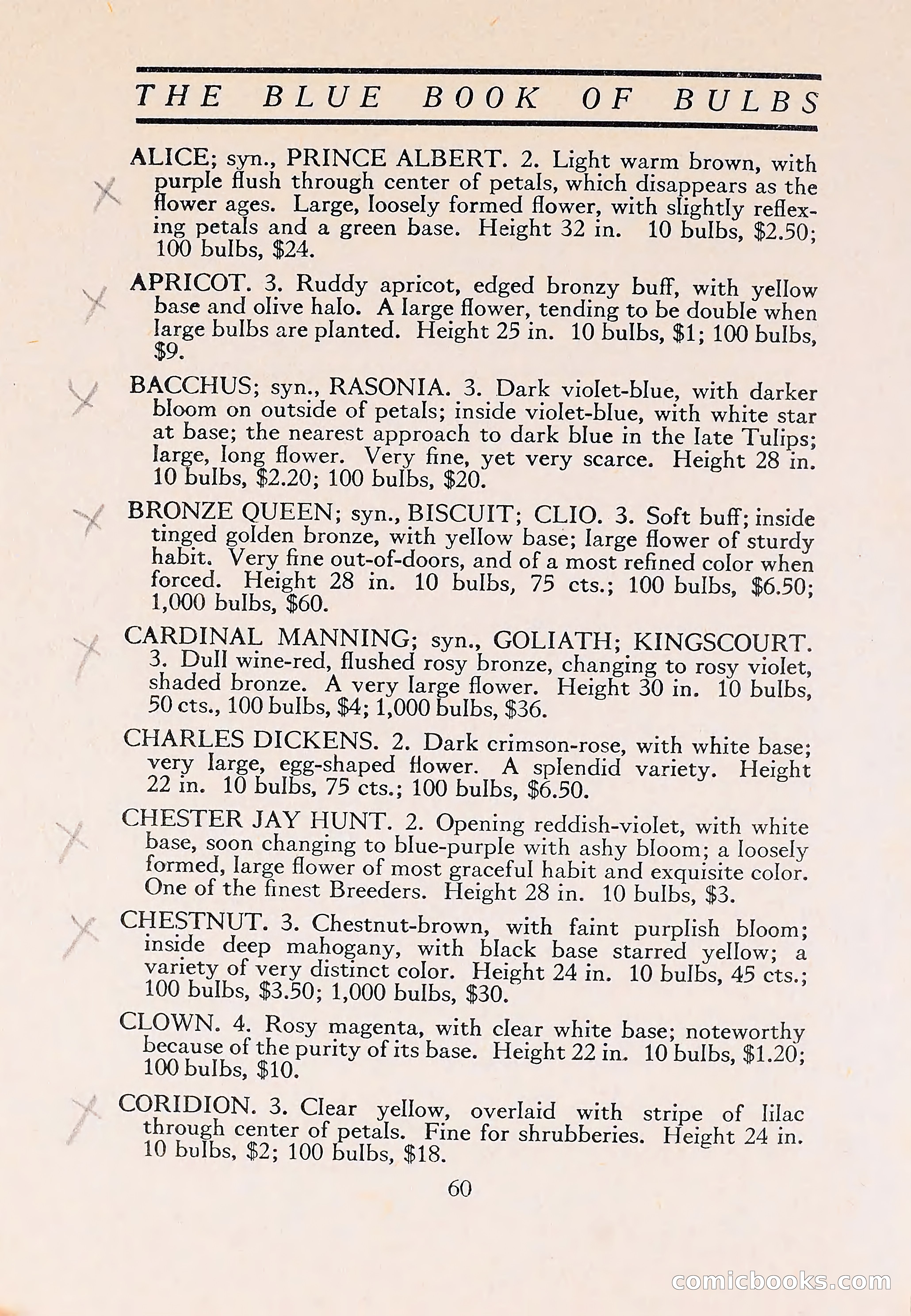 The Blue Book of Bulbs — page 64 of 110