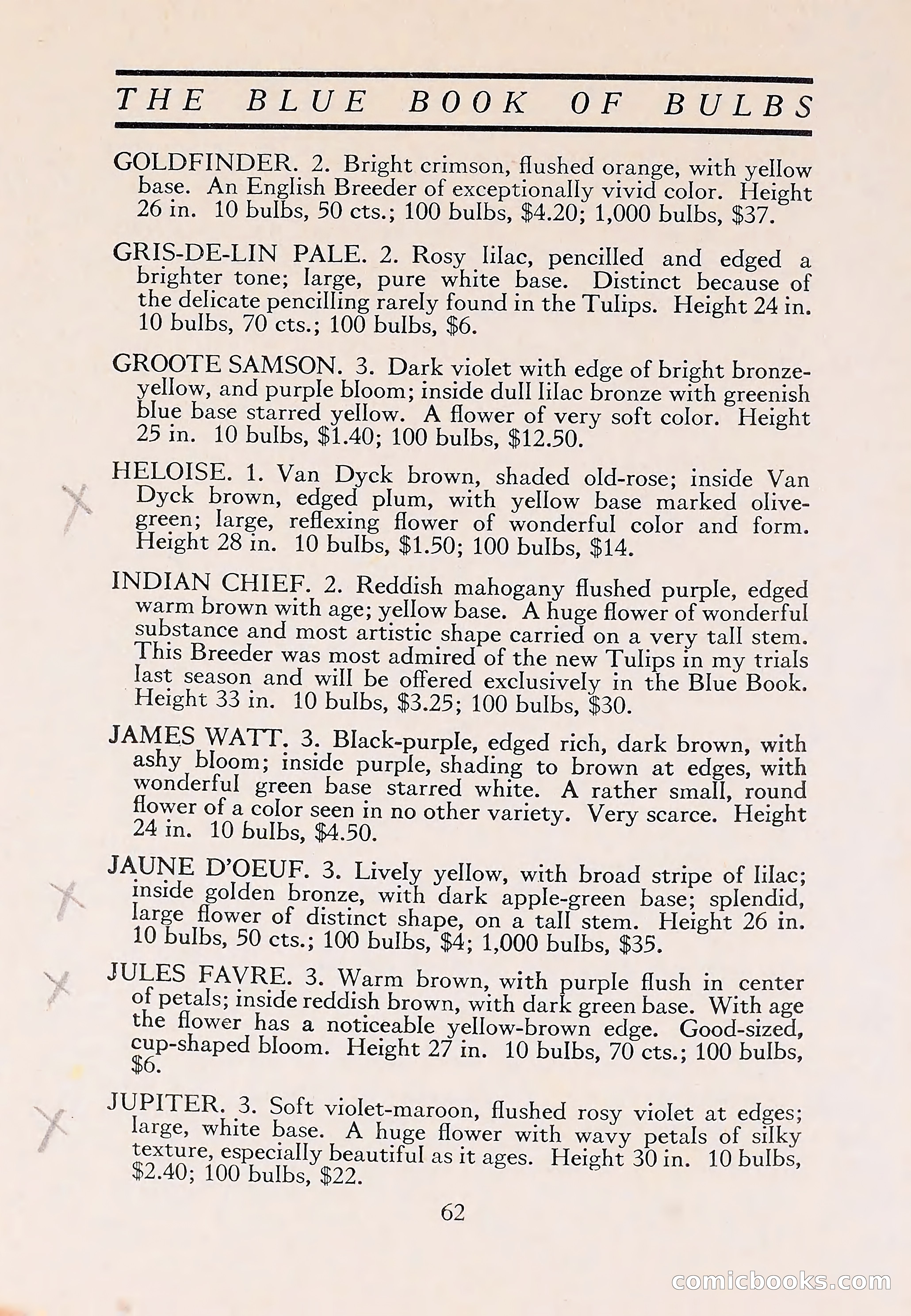 The Blue Book of Bulbs — page 66 of 110